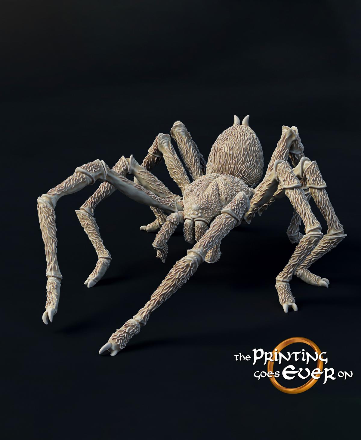 Large Spider C 3d model