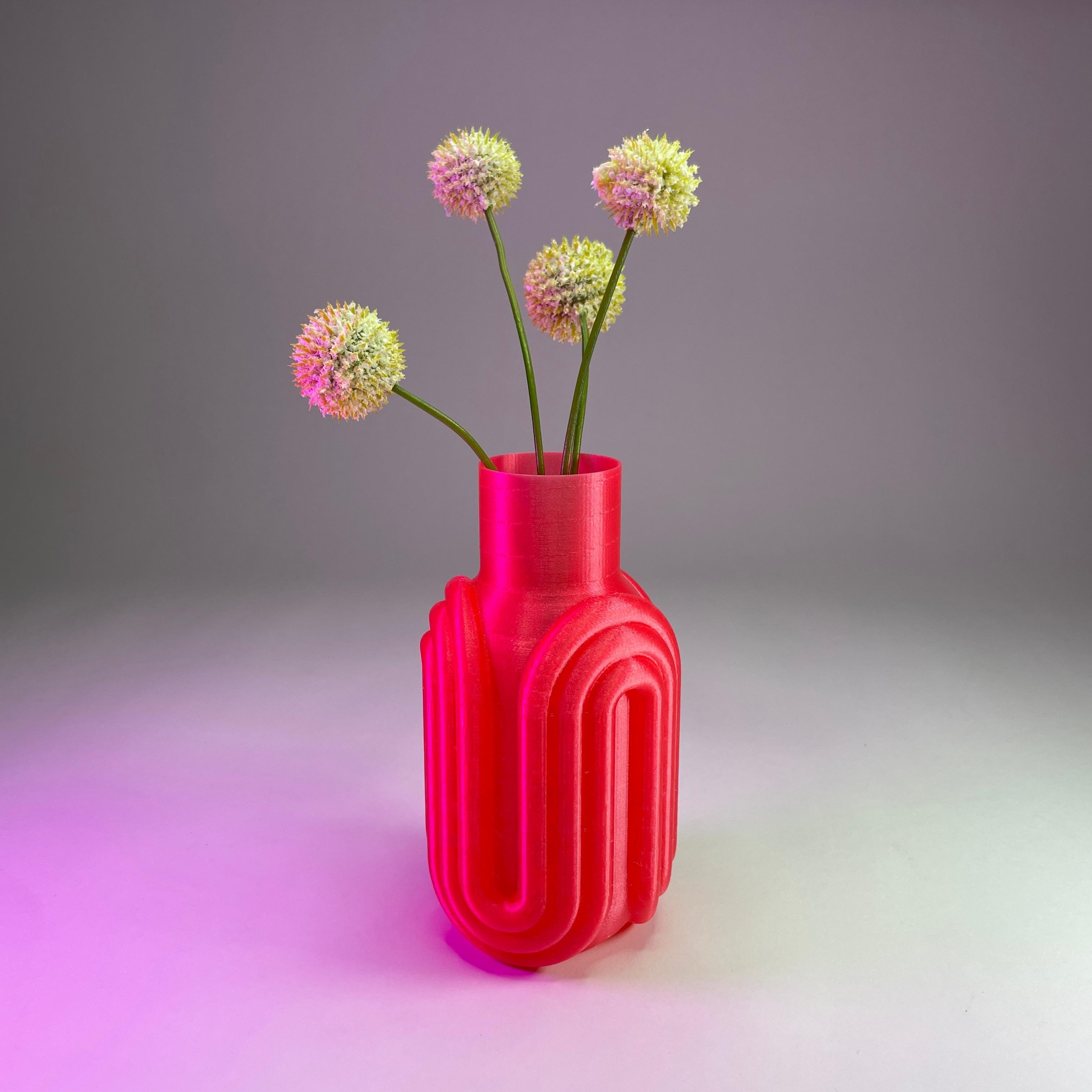 Rainbow Vase 3d model