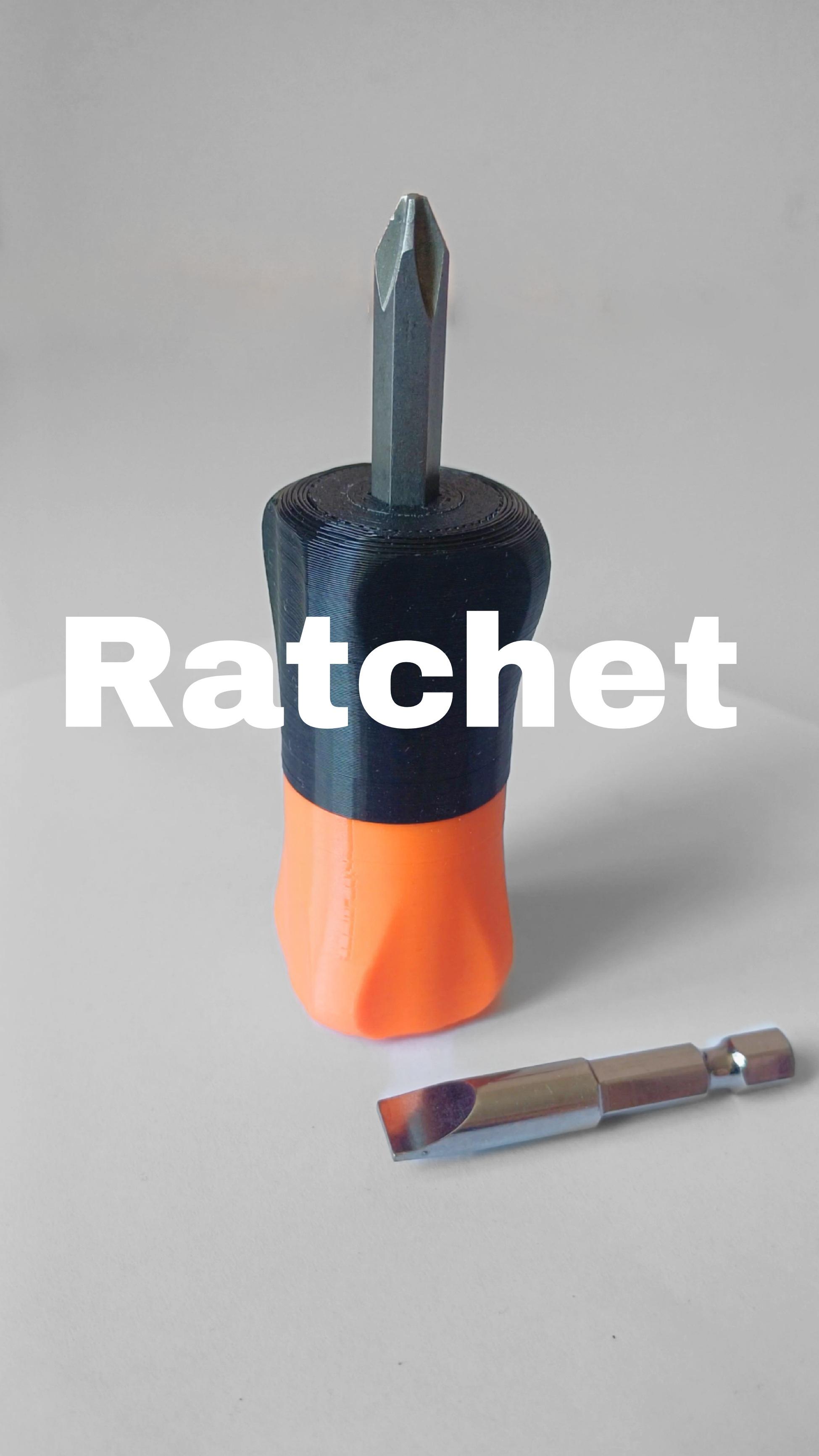 Ratchet Screw Driver  3d model