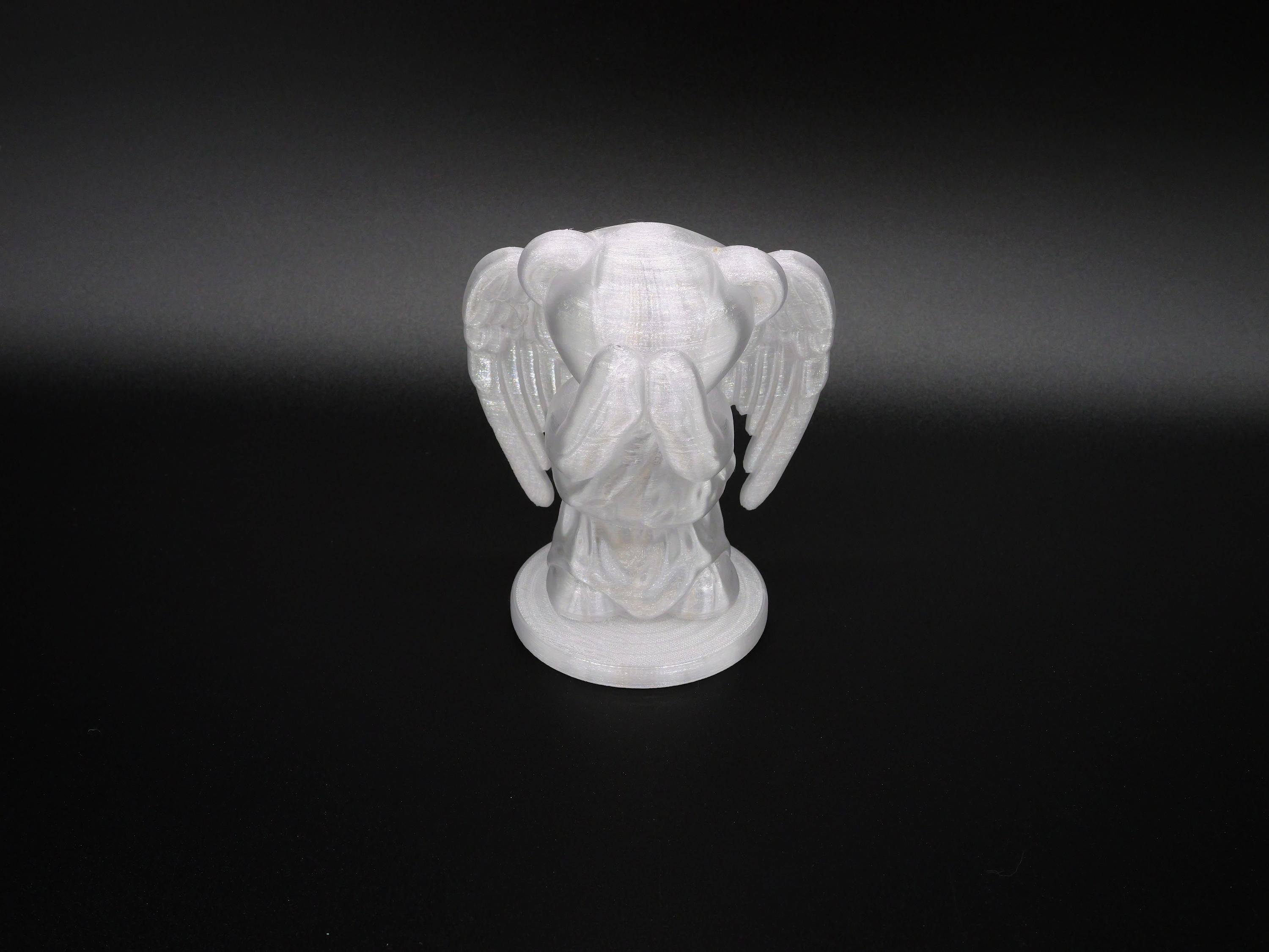 Weeping Bear.stl - Printed in clear PETG - 3d model