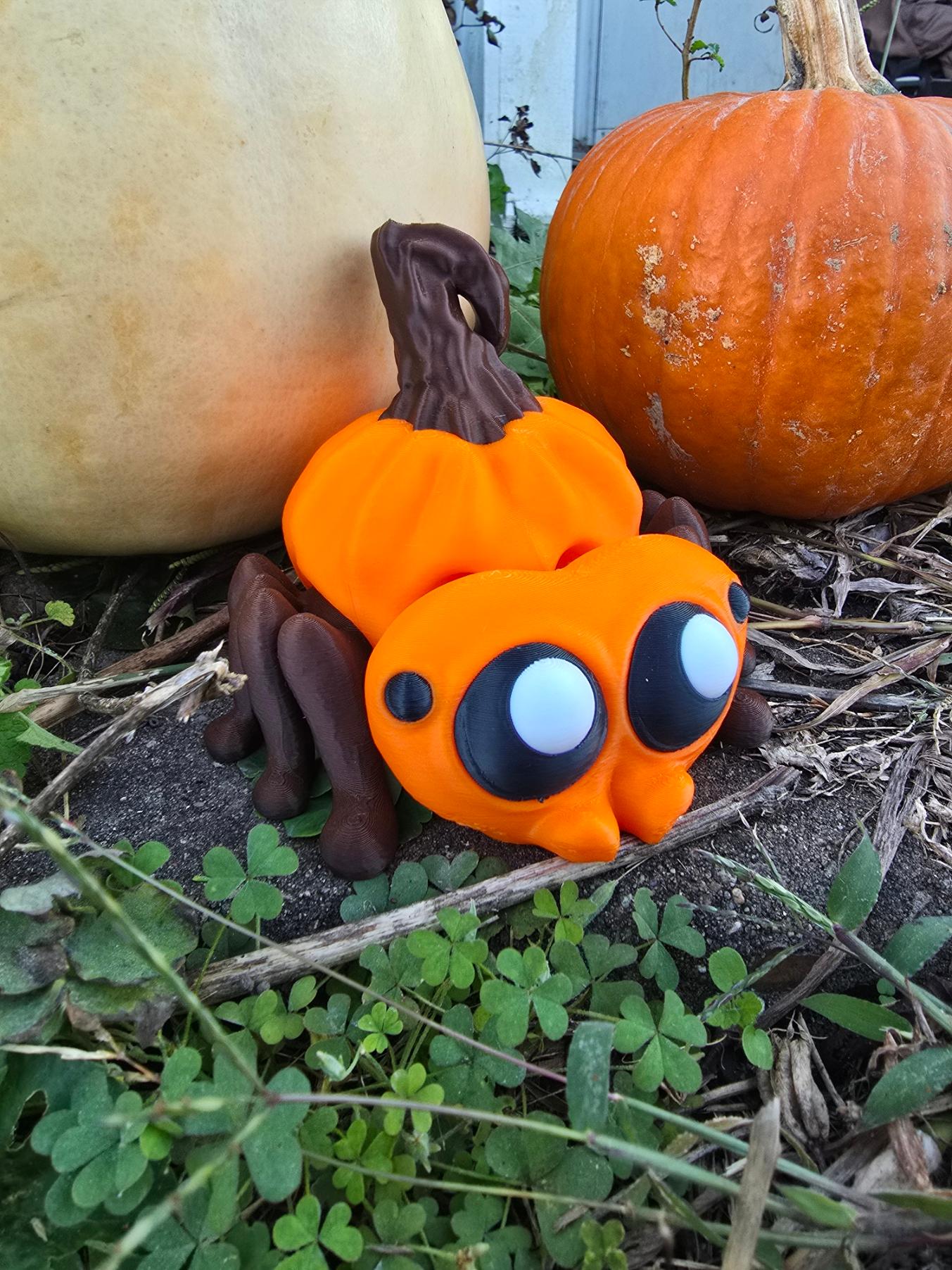 Pumpkin Spider 3d model