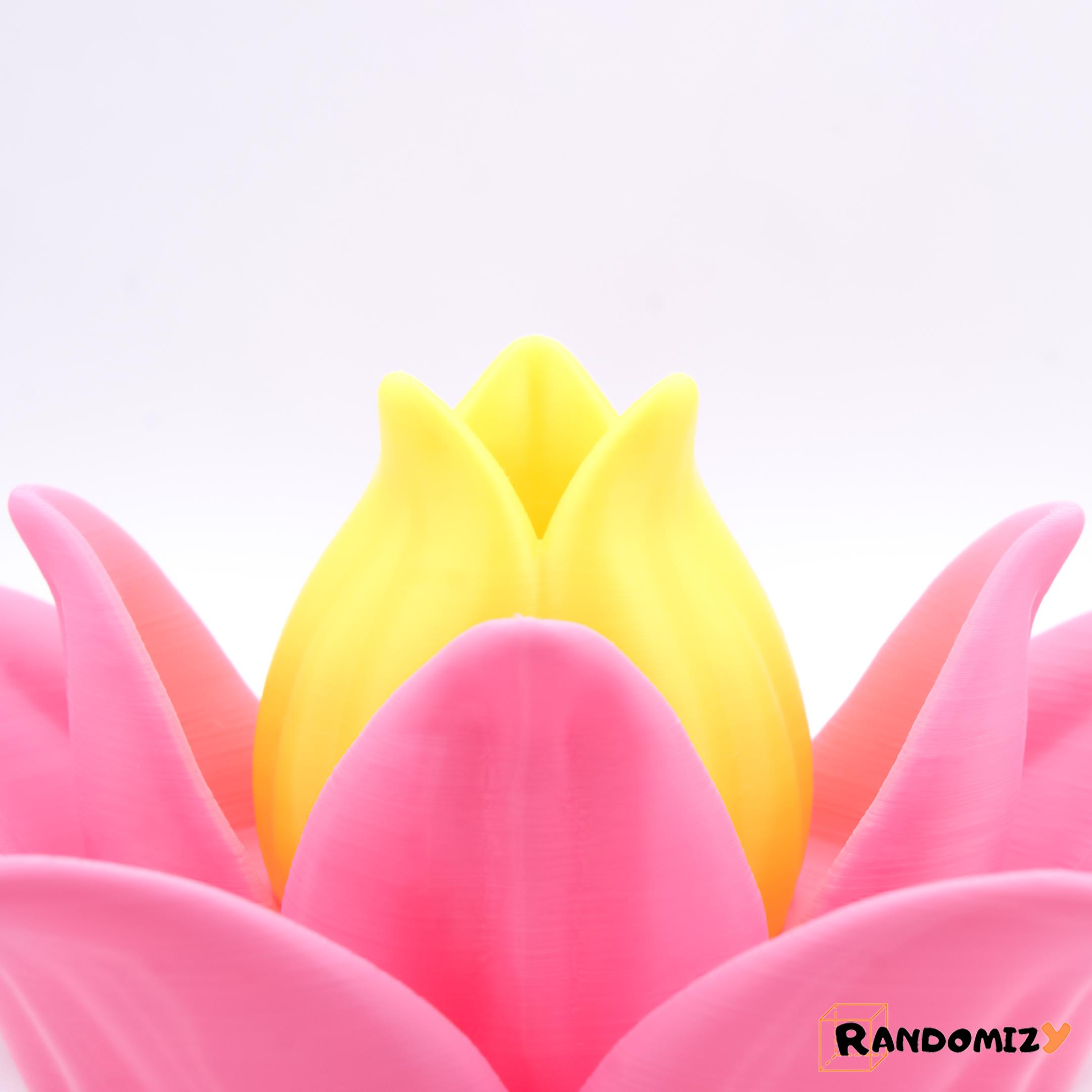 (Multifunctional) Lotus Flower 3d model