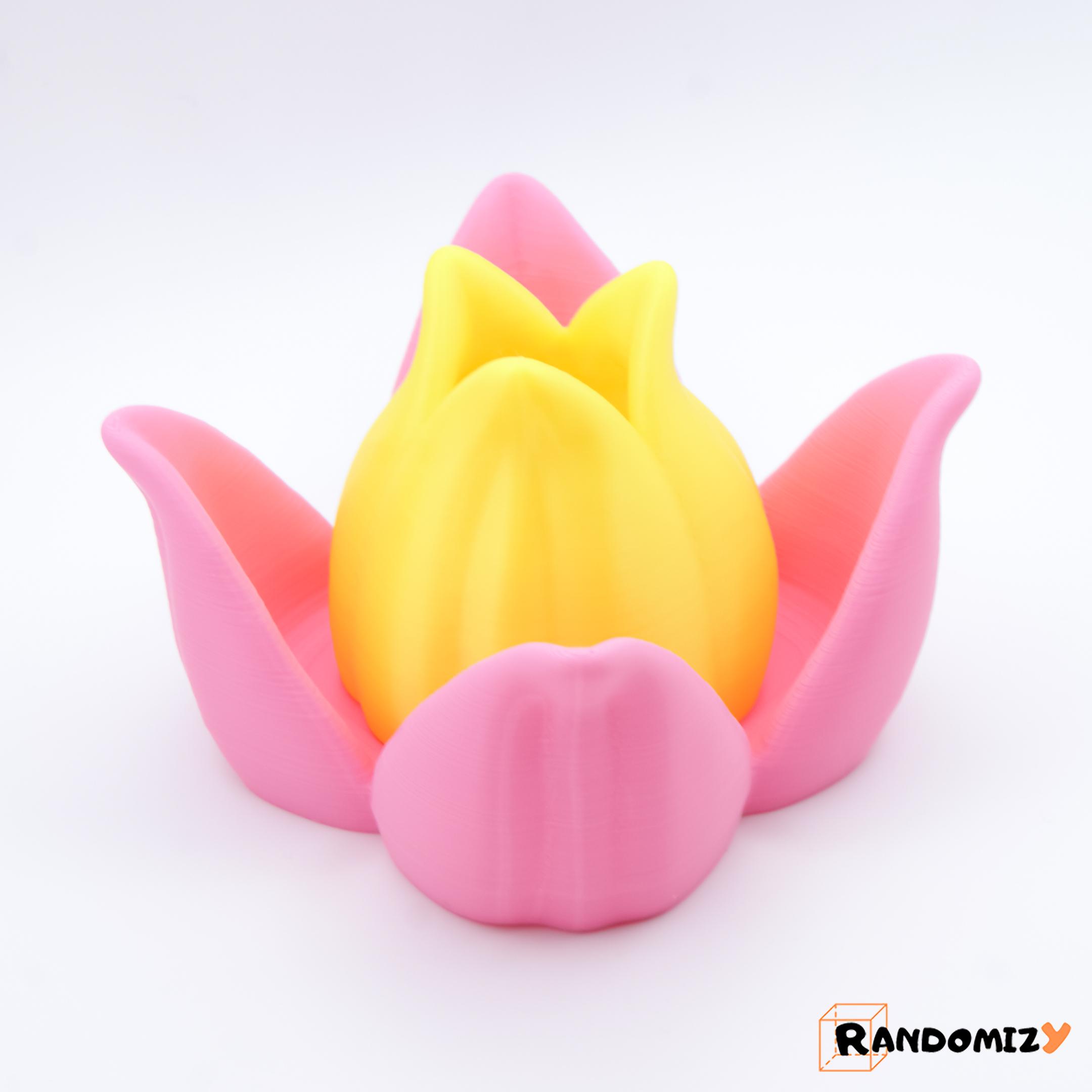 (Multifunctional) Lotus Flower 3d model