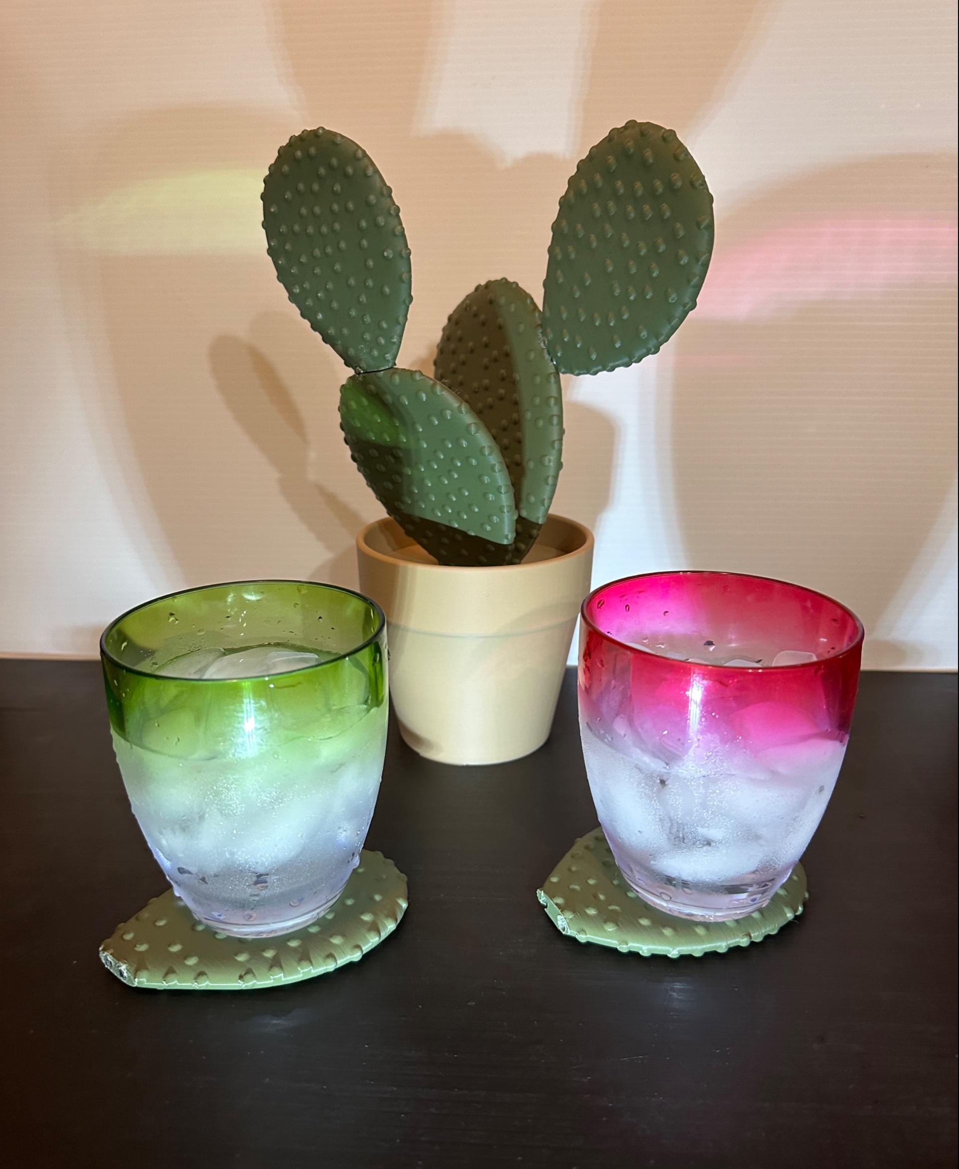 Cactus Coasters  3d model