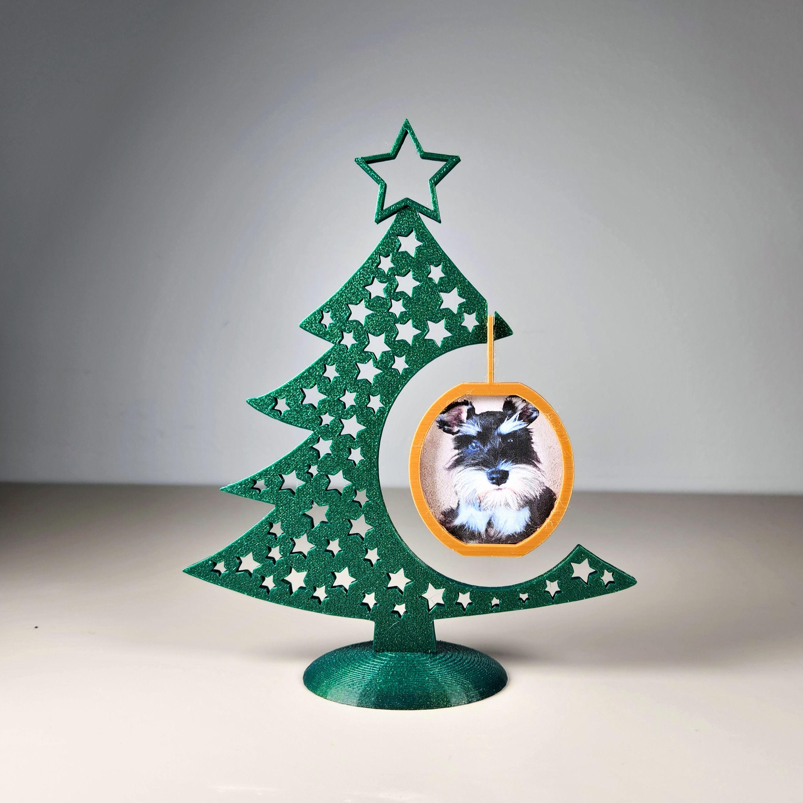 Photo Frame Bauble 3d model