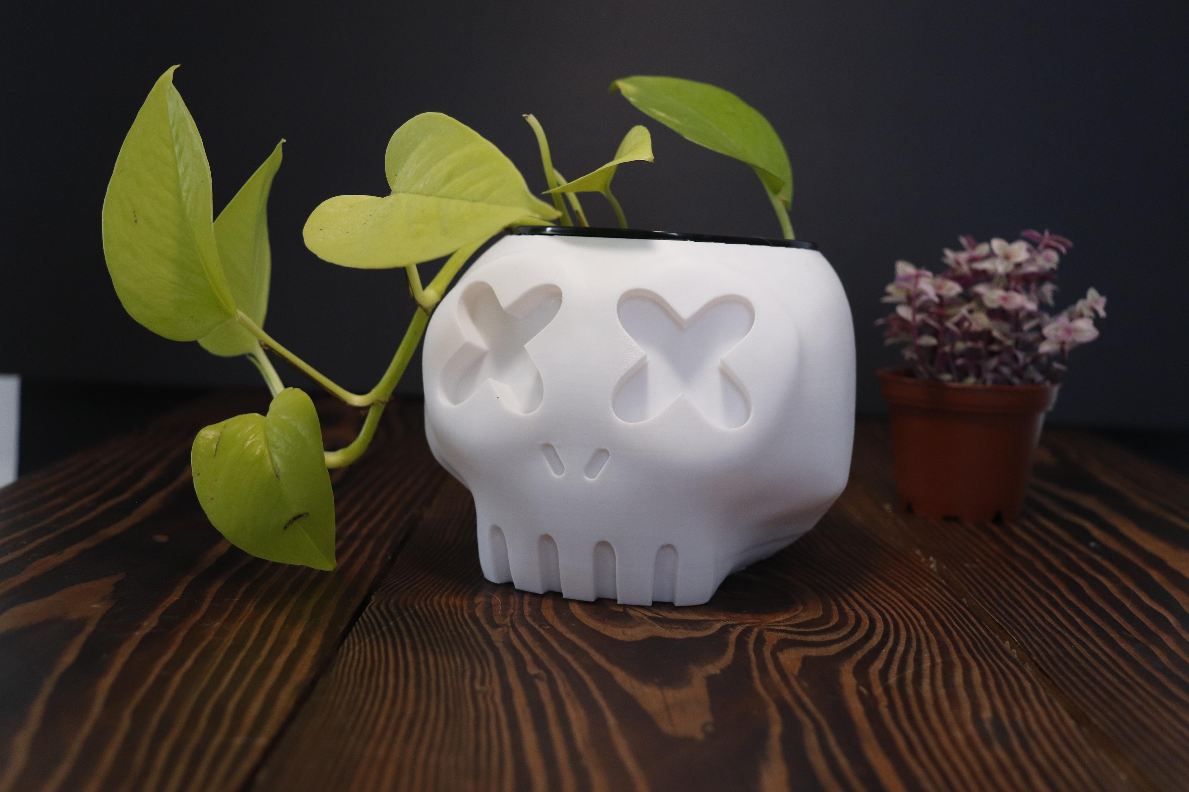 Cartoon Skull Planter 3d model