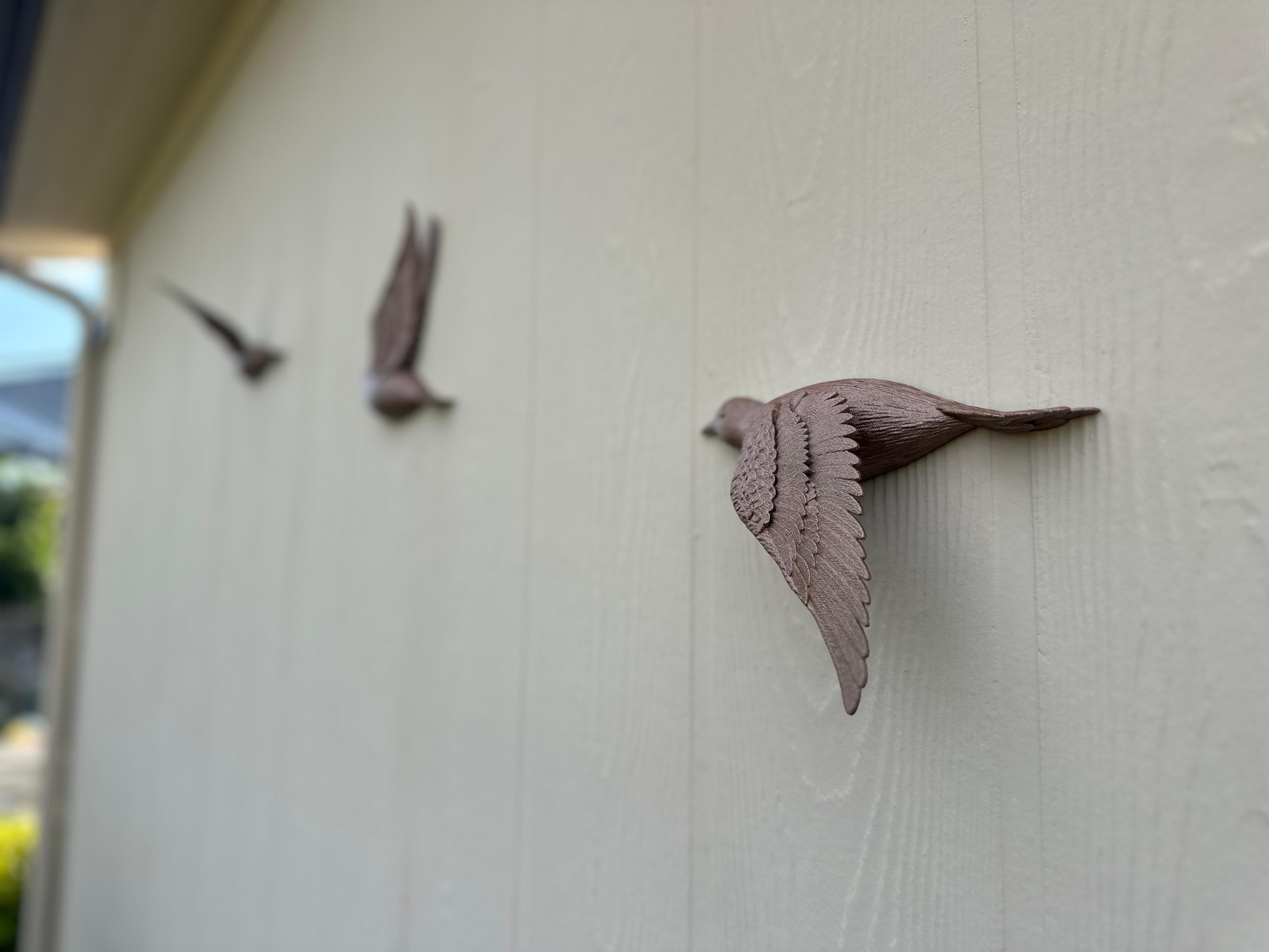 Birds in Flight: Three beautiful wall-mounted bird sculptures 3d model