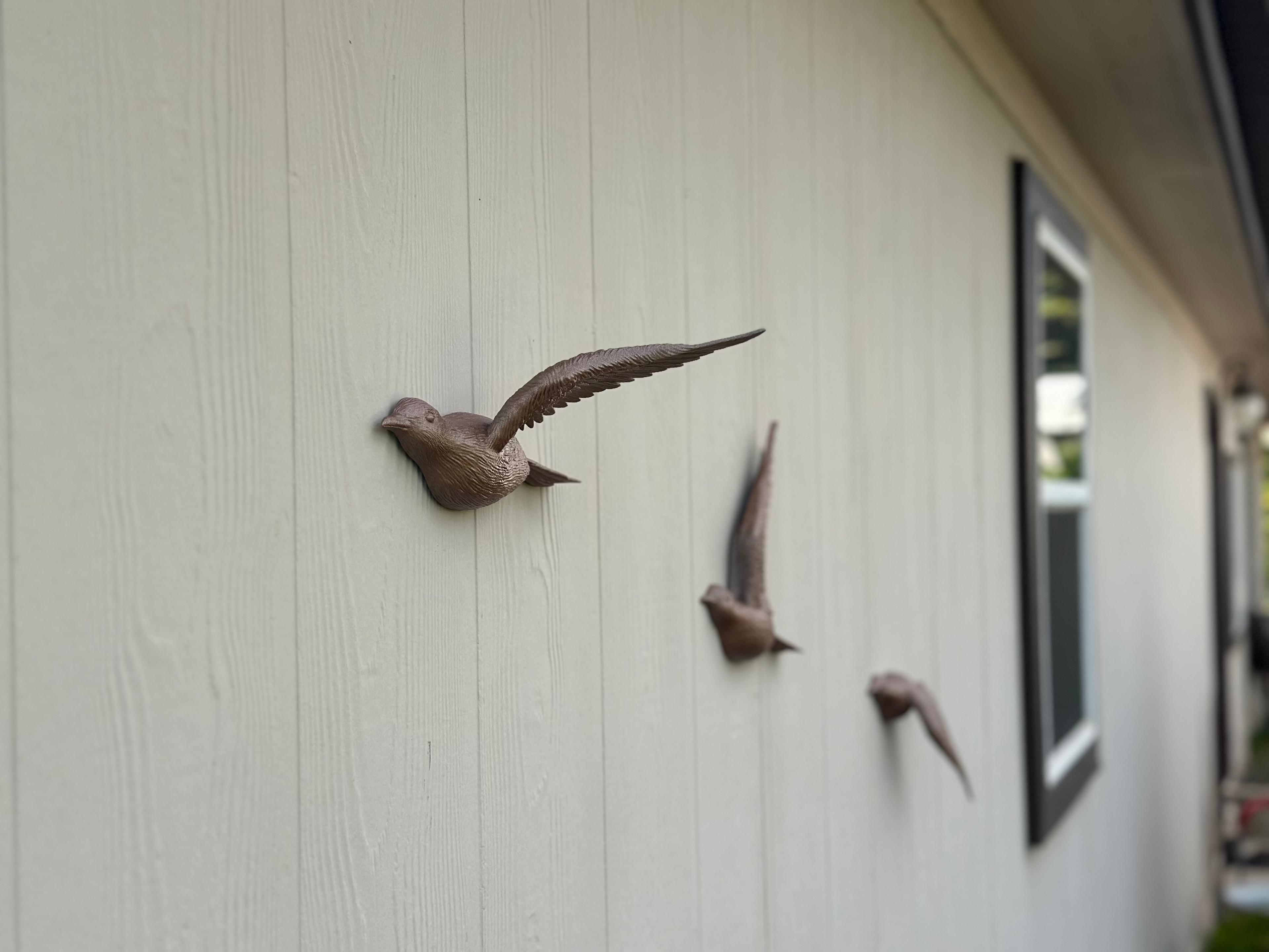 Birds in Flight: Three beautiful wall-mounted bird sculptures 3d model