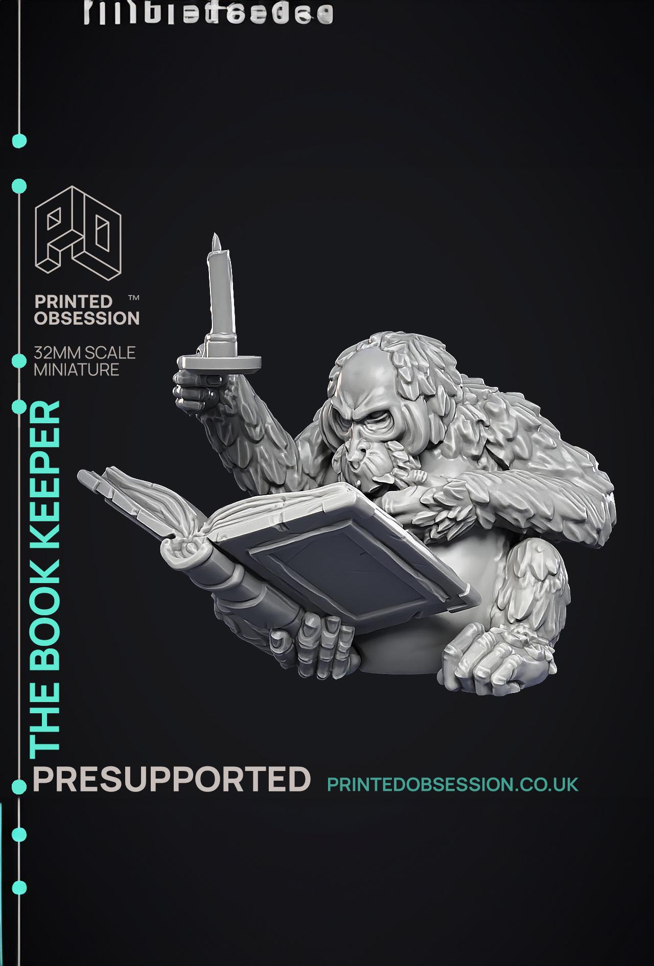 Book Keeper - NPC Libarian - PRESUPPORTED - Illustrated and Stats - 32mm scale  3d model