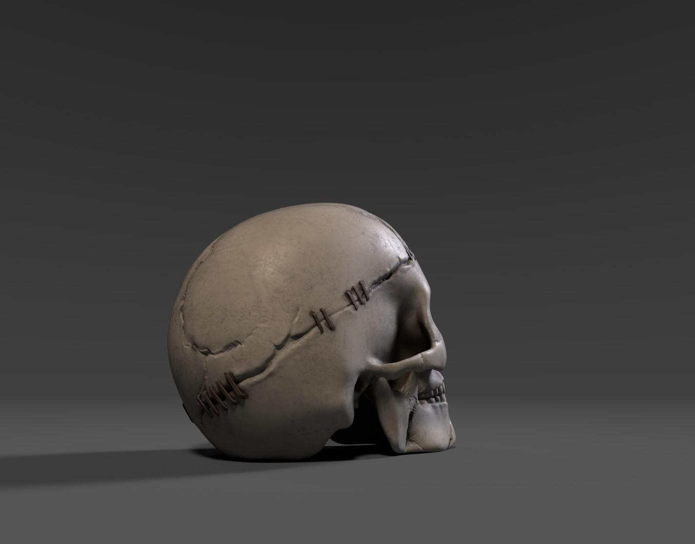 Staple Skull 3d model