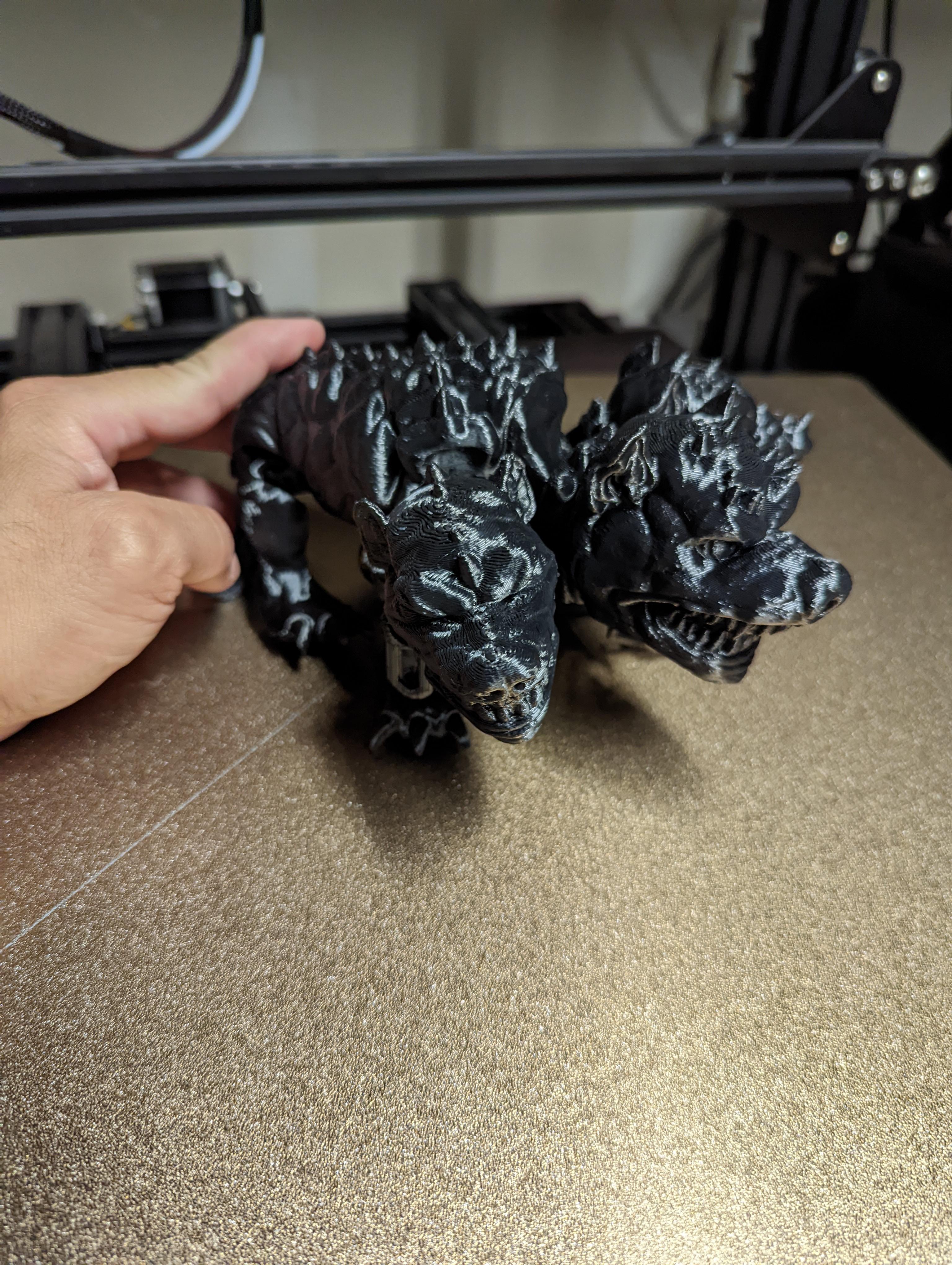 Flexi Cerberus 3d model