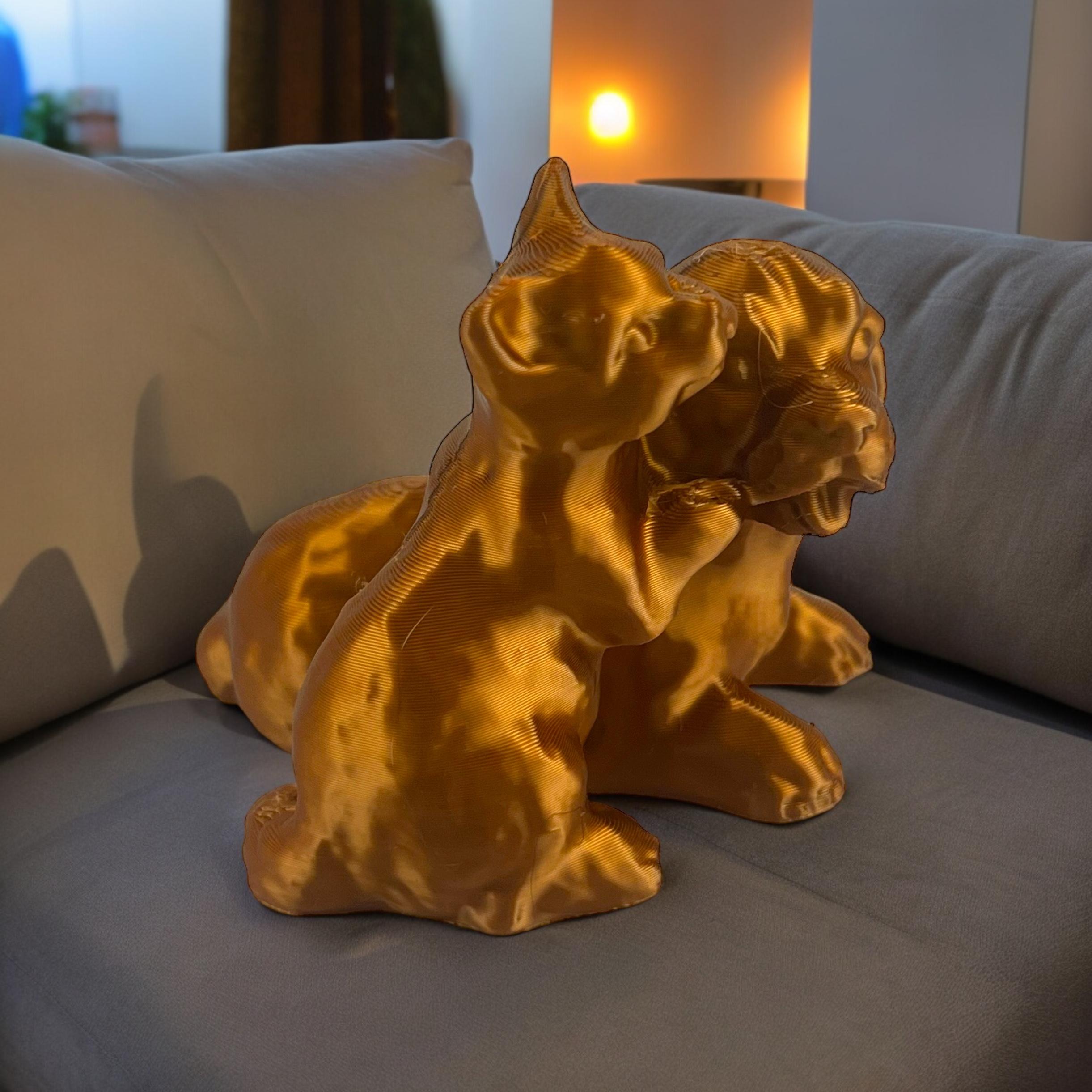 cat and golden retriever 3d model