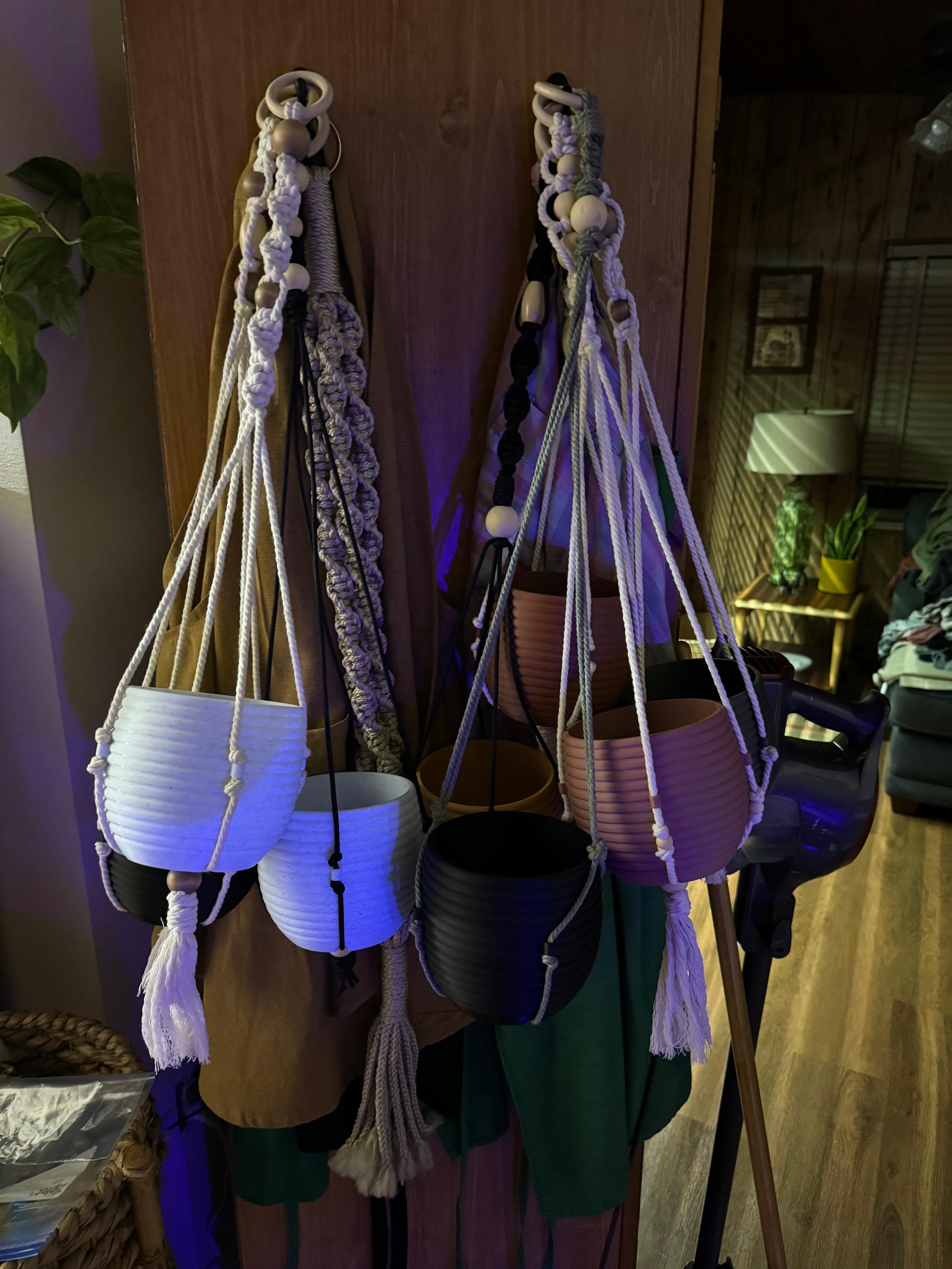 Hanging Planter - The Hive 3d model