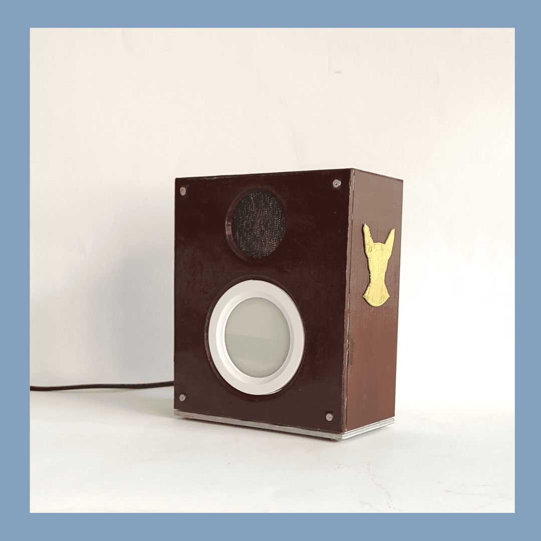 Speaker Lamp #Junetunes 3d model