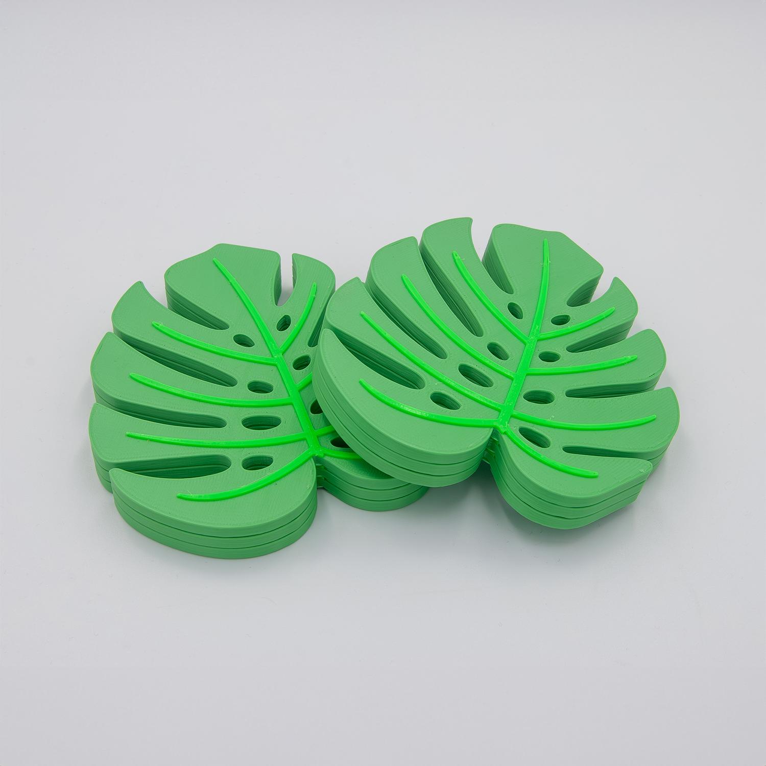 Monstera Coaster 3d model