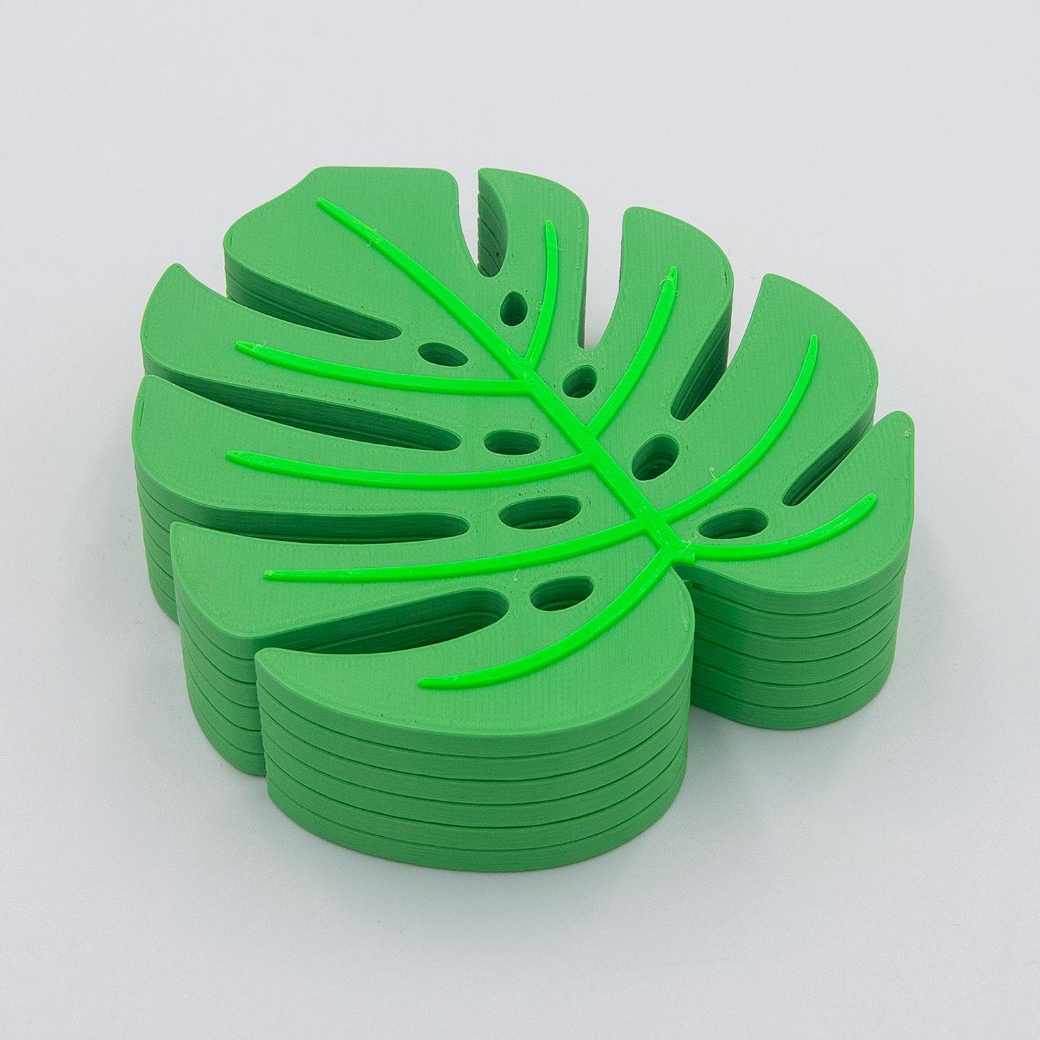 Monstera Coaster 3d model