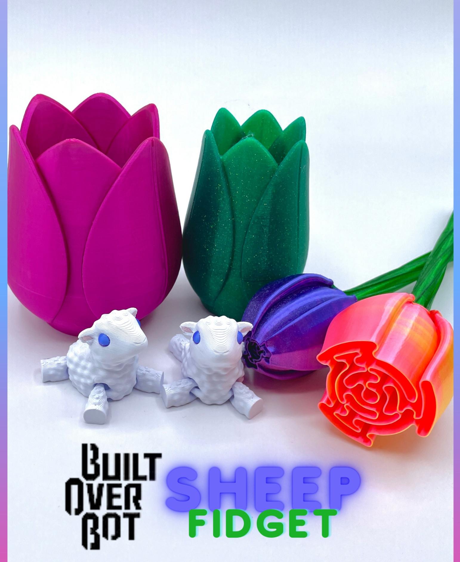 Sheep Fidget 3d model