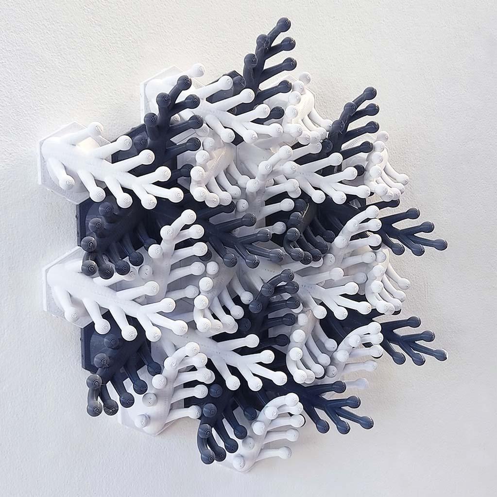 Coral Snowflake Wall Sculpture 3d model