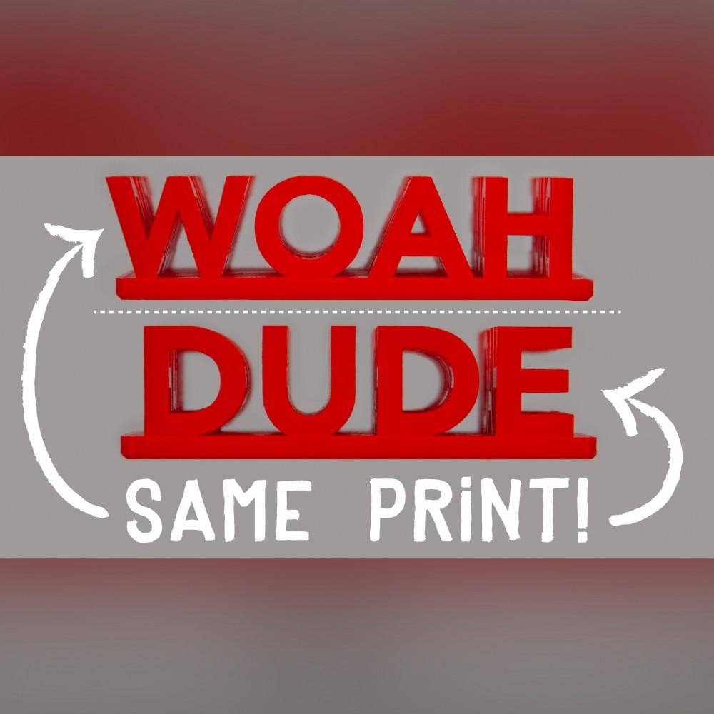 WOAH ⇨ DUDE // P.O.V. Illusion 3d model