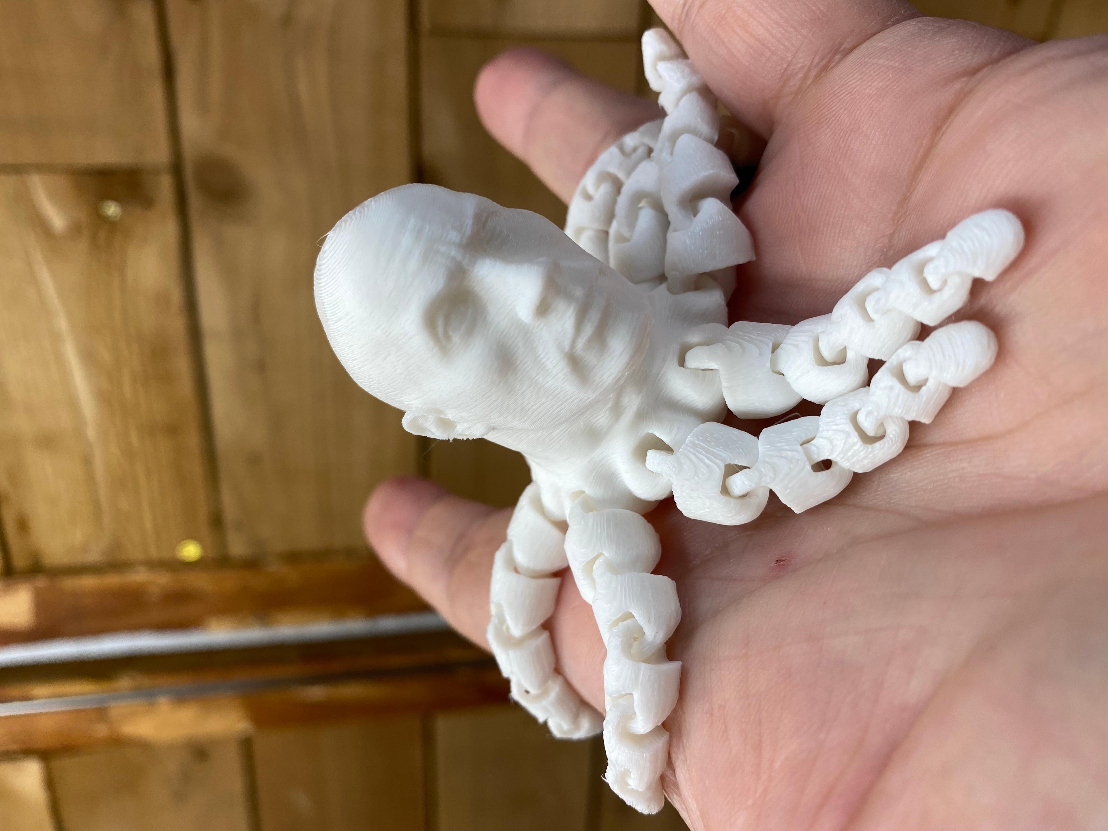 ROCKTOPUS - Love the Rocktopus. Printed in white PLA + on a Dremel 3d20.  - 3d model