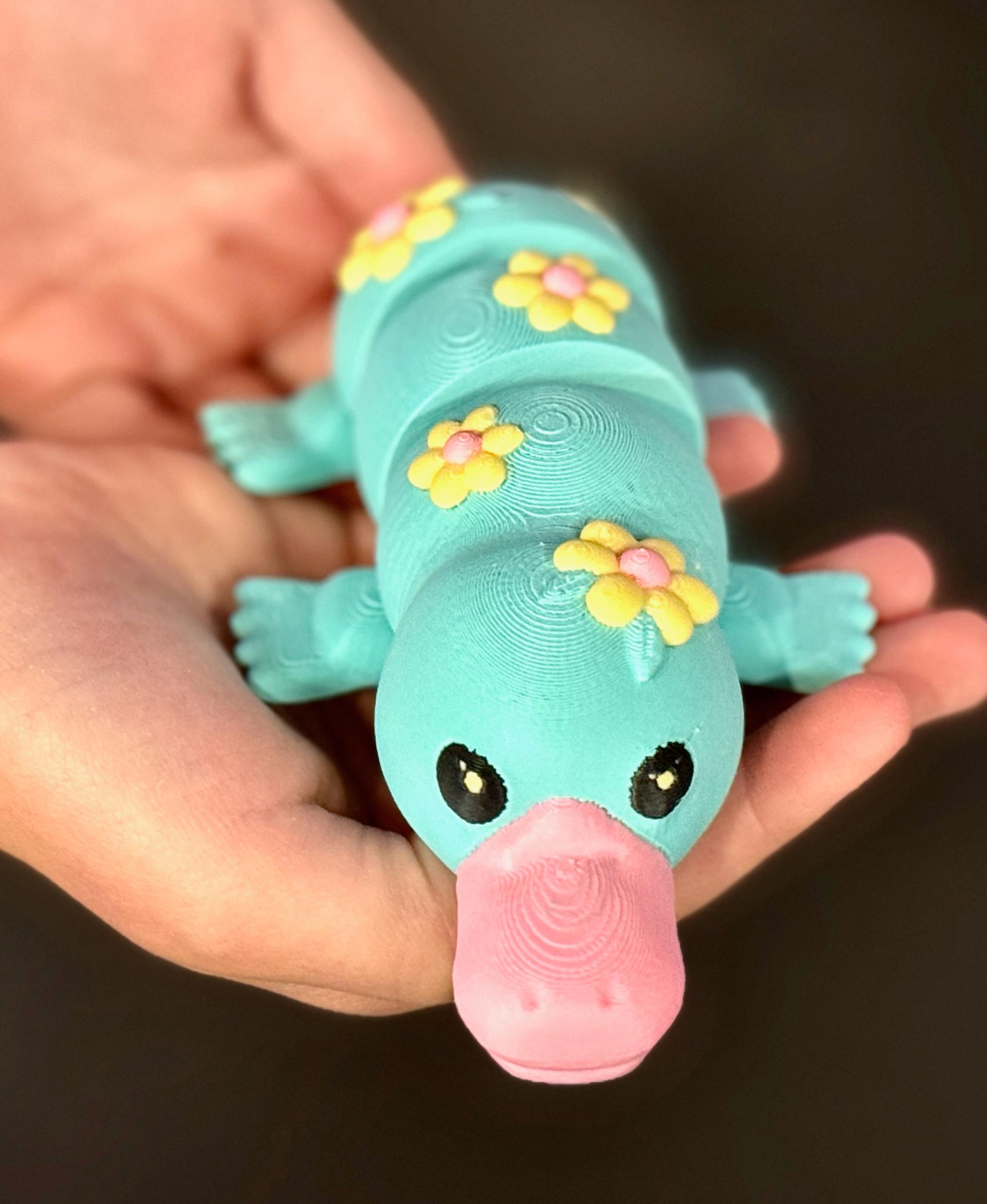 Articulated Floral Platypus by Teal Cat Creative 3d model