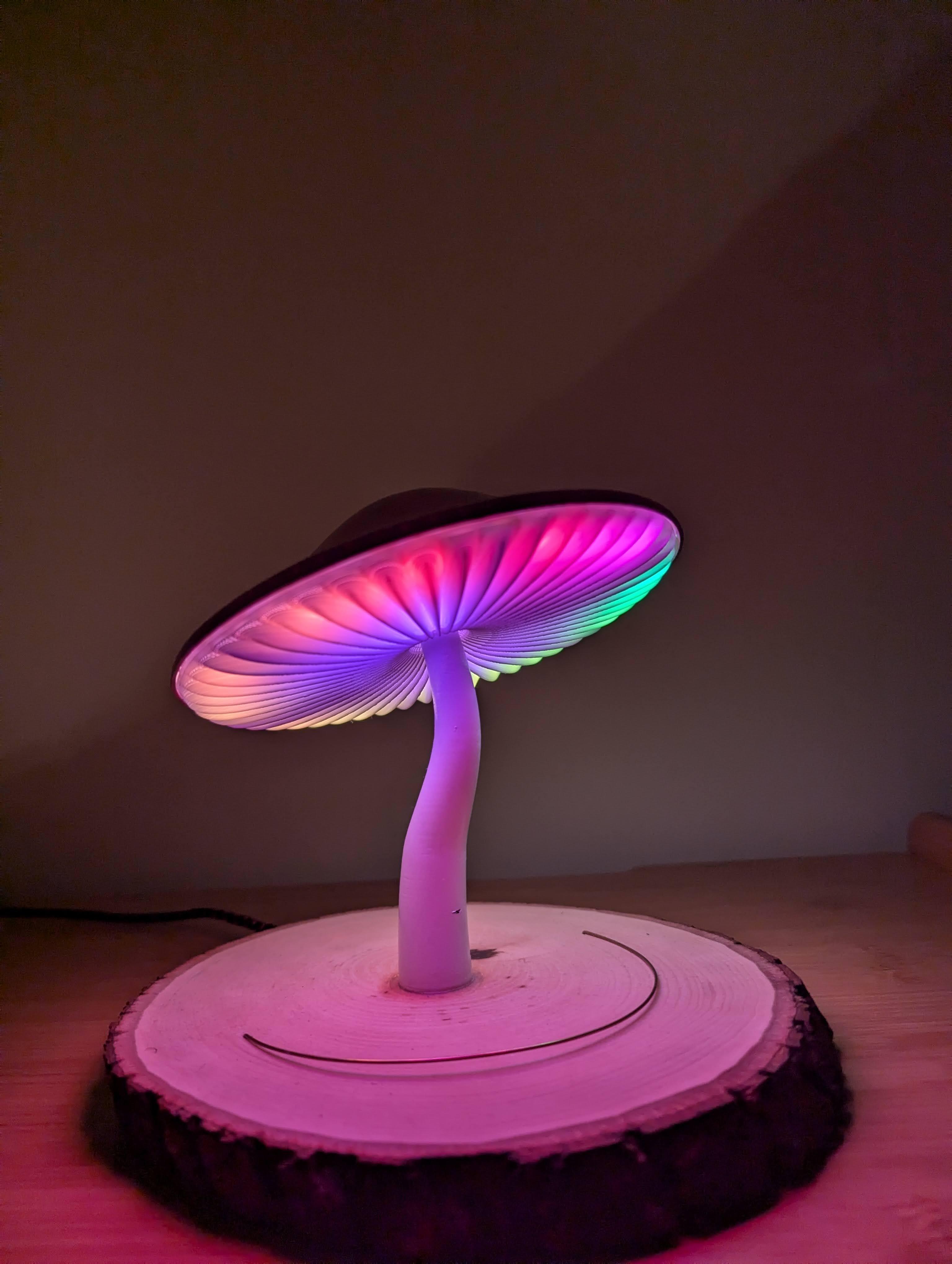 Mushroom Lamp 3d model