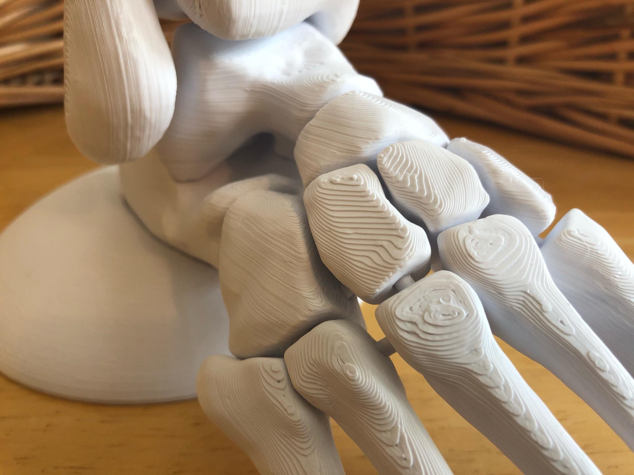 Full Size Anatomically Correct Human Foot Model 3d model