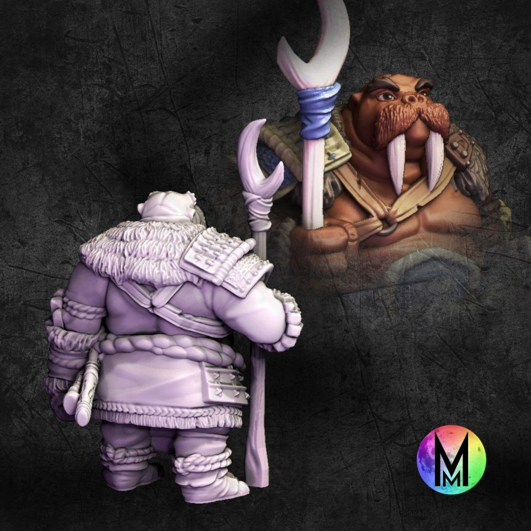 Set of 5 Morusians (Walrus people / Tuskarr / Tusken / Thanoi ) 3d model