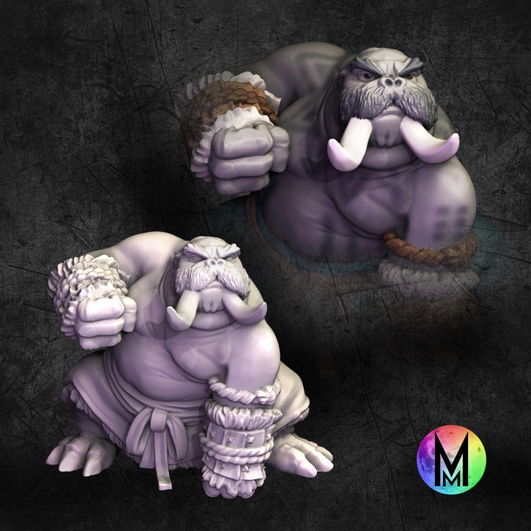 Set of 5 Morusians (Walrus people / Tuskarr / Tusken / Thanoi ) 3d model