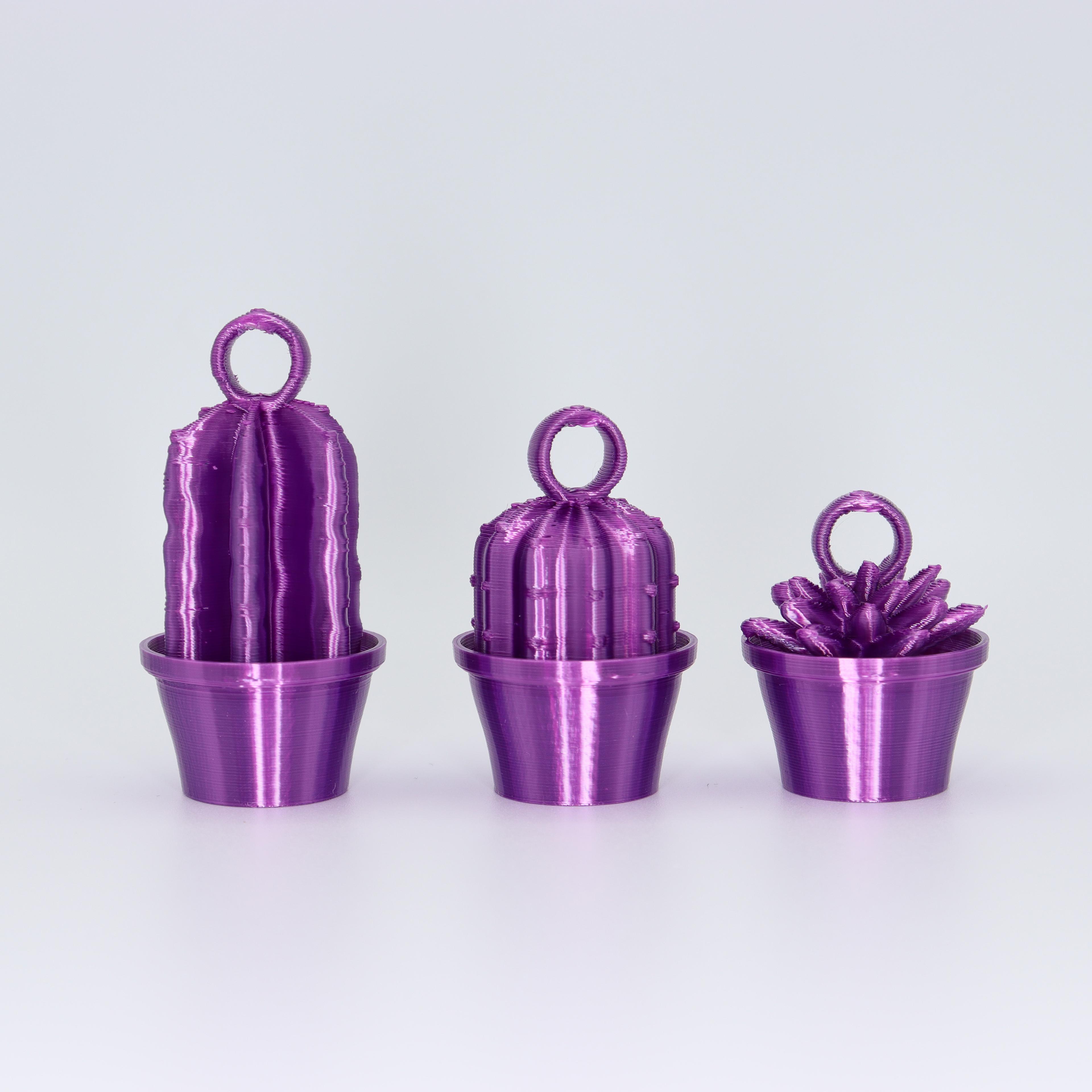 Cactus Keyrings 3d model