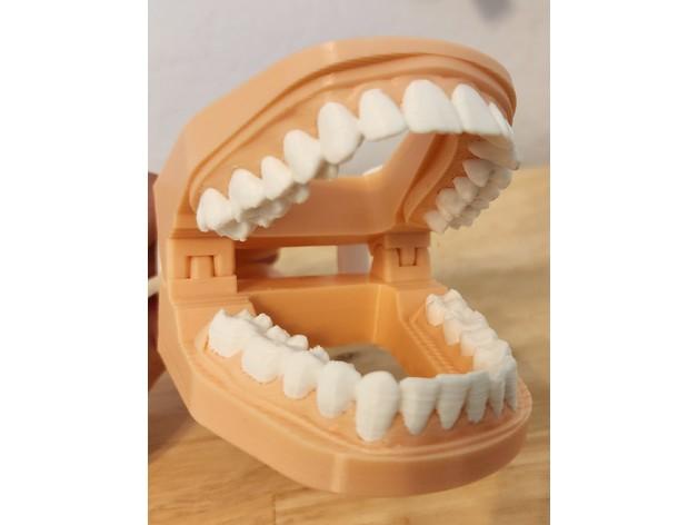 Mouth Chip Clip from 3D Scan of Teeth 3d model