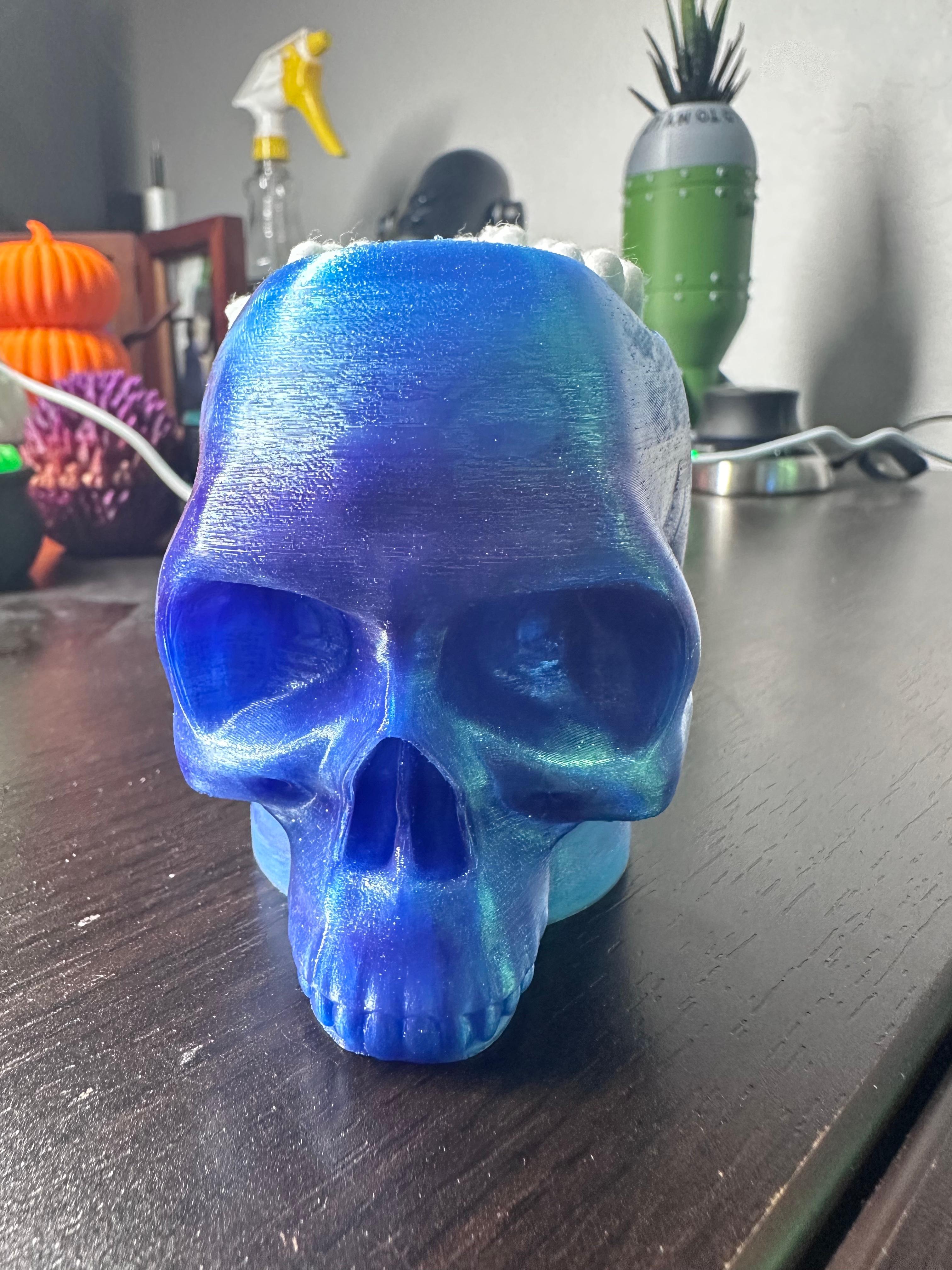 Skull Candy Bowl 3d model