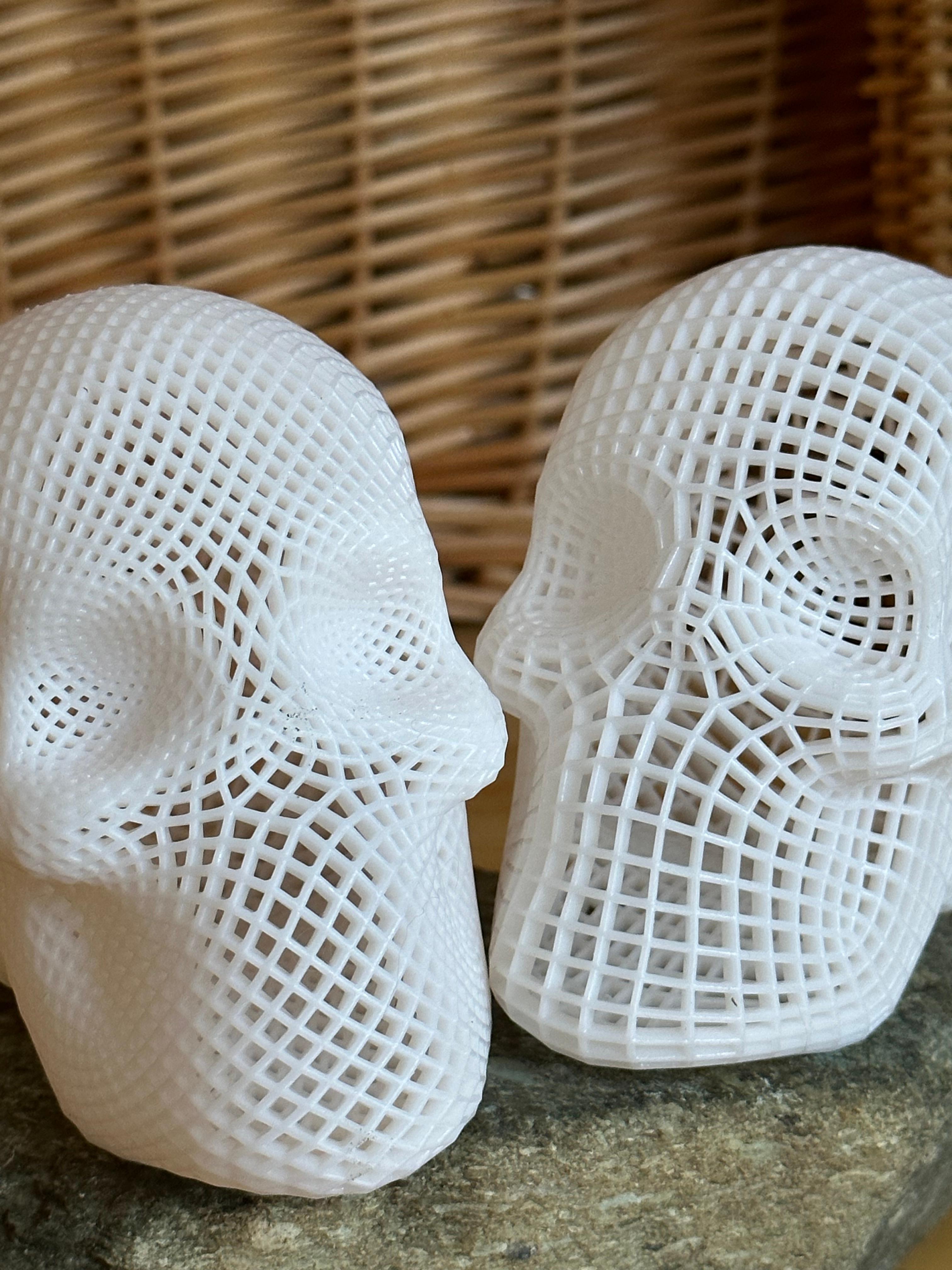 Lattice Skull Square 3d model