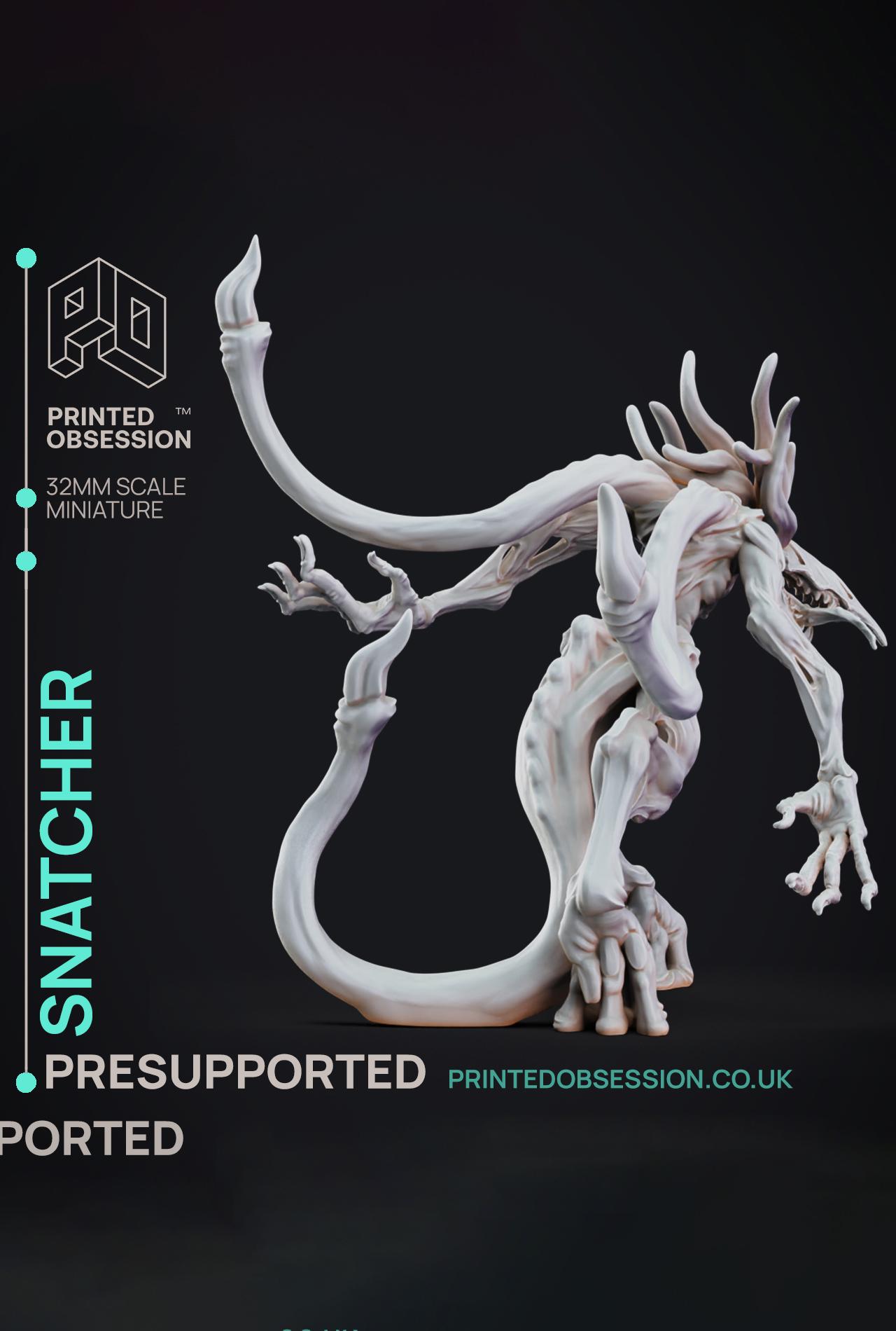 Snatcher - The Mists of Change - PRESUPPORTED - Illustrated and Stats - 32mm scale			 3d model