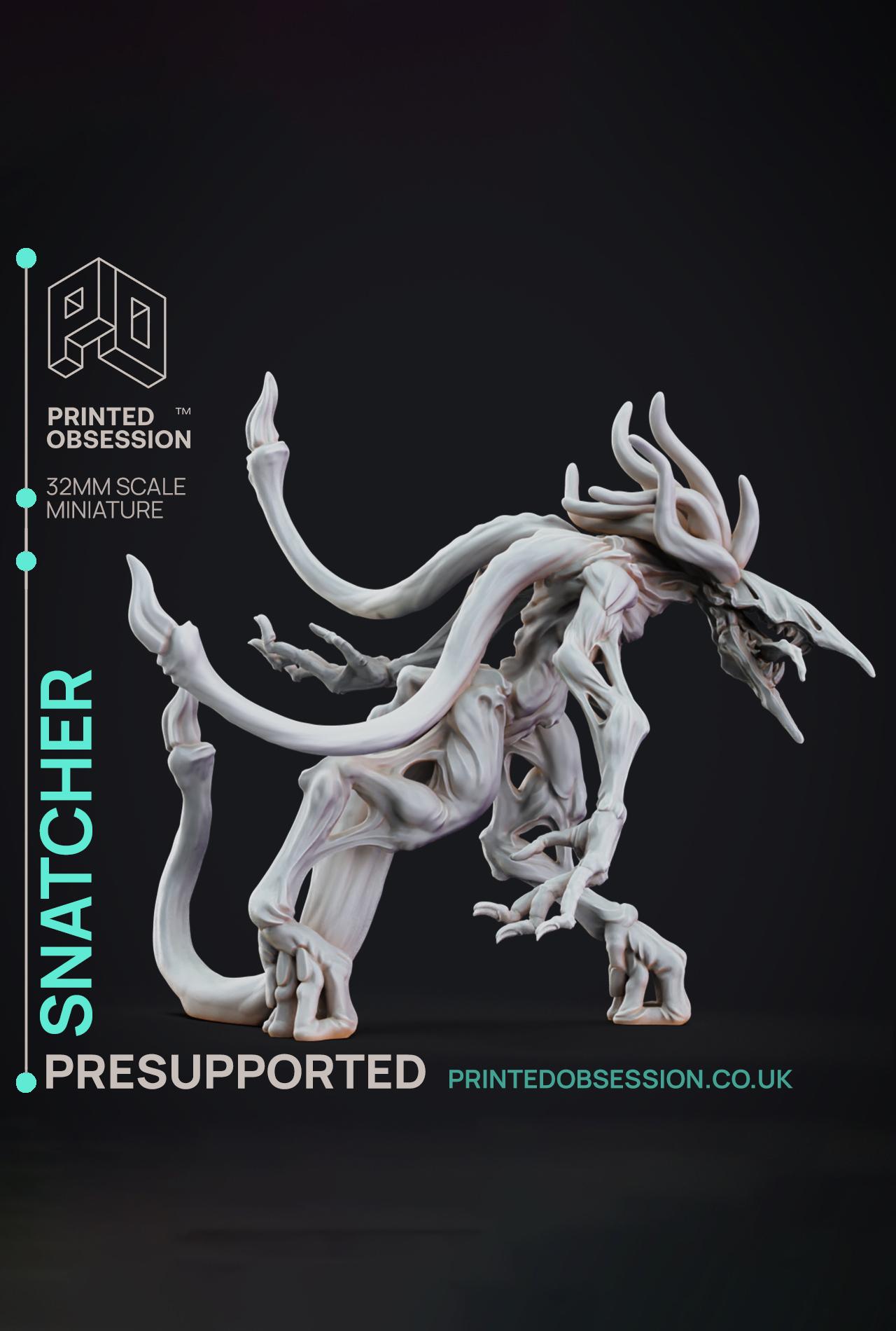 Snatcher - The Mists of Change - PRESUPPORTED - Illustrated and Stats - 32mm scale			 3d model