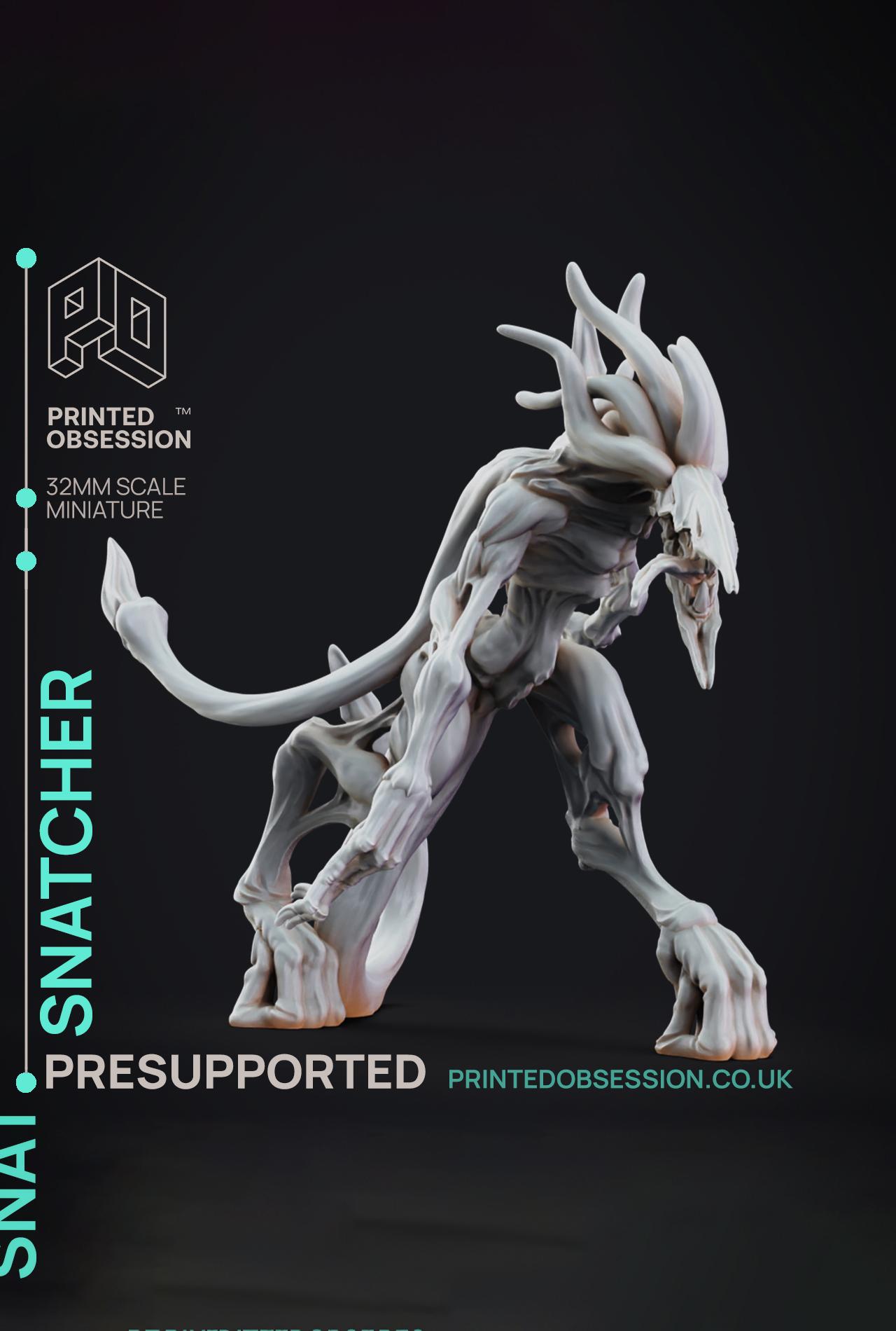 Snatcher - The Mists of Change - PRESUPPORTED - Illustrated and Stats - 32mm scale			 3d model