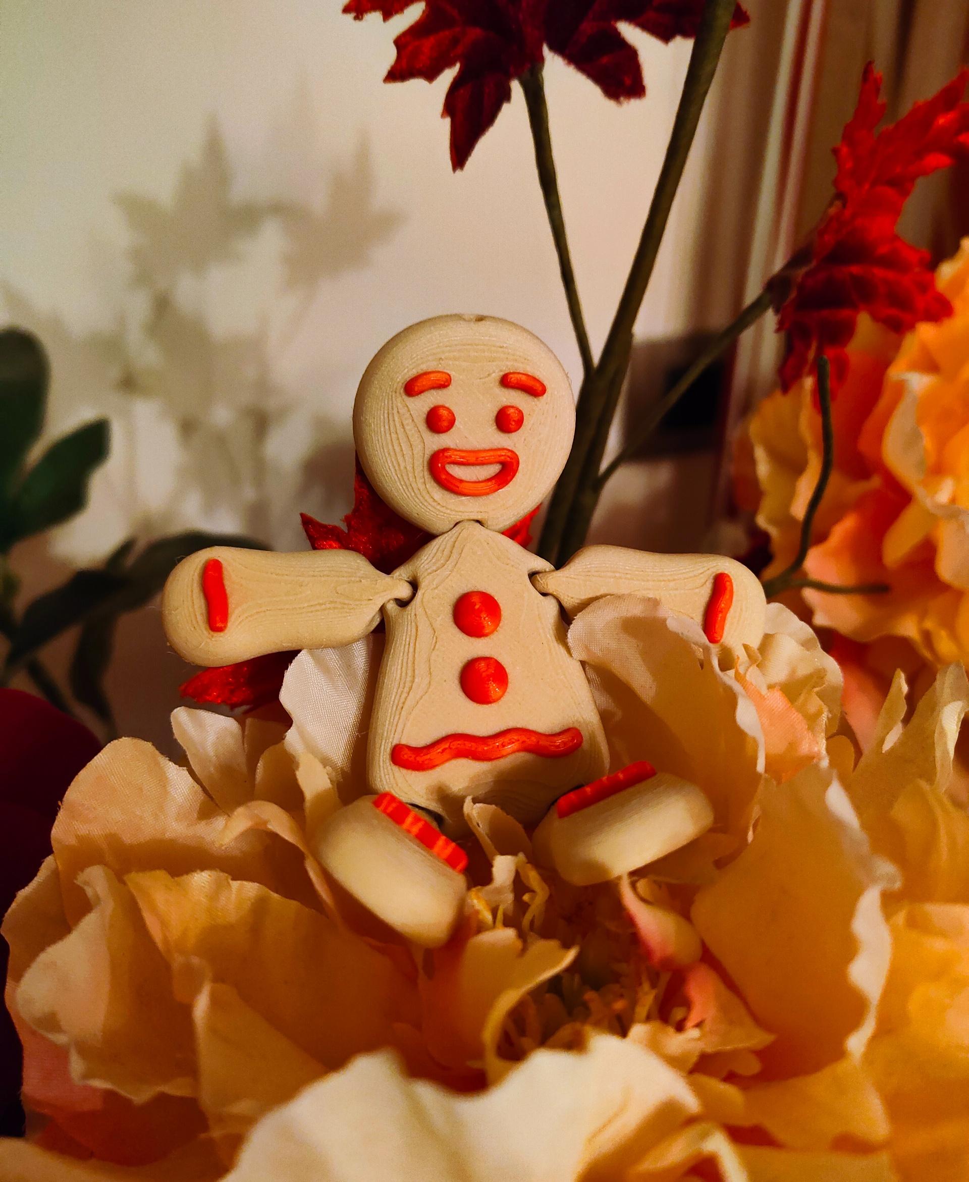 Flexi Gingerbread Man - Printed with SUNLU Wood PLA and Anycubic Red PLA on a Bambu Lab A1 mini - 3d model