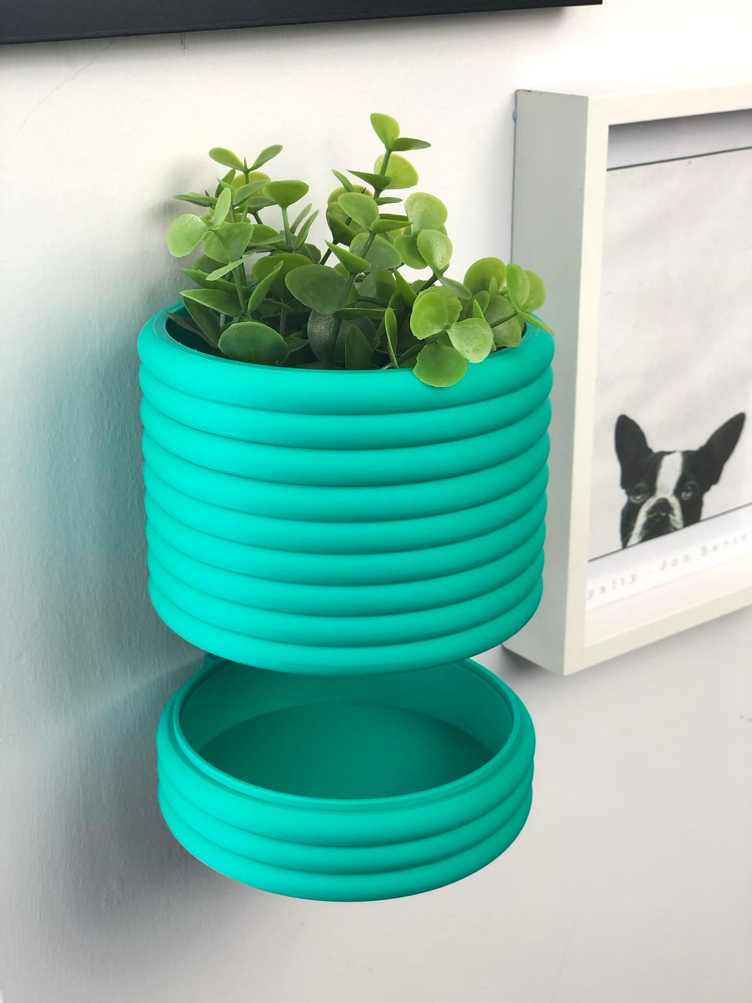 Wall Mount Plant Pot - Bubbles 3d model