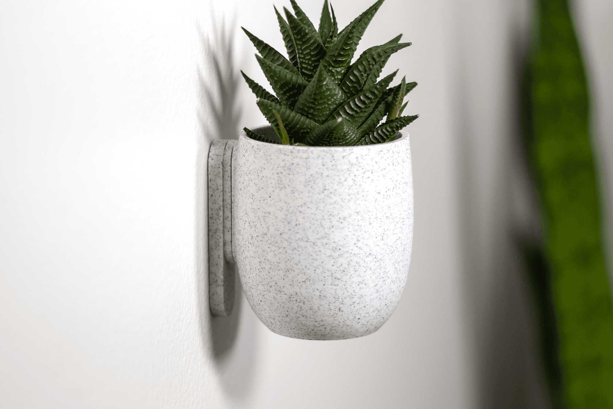 Simple Cup Planter 3d model