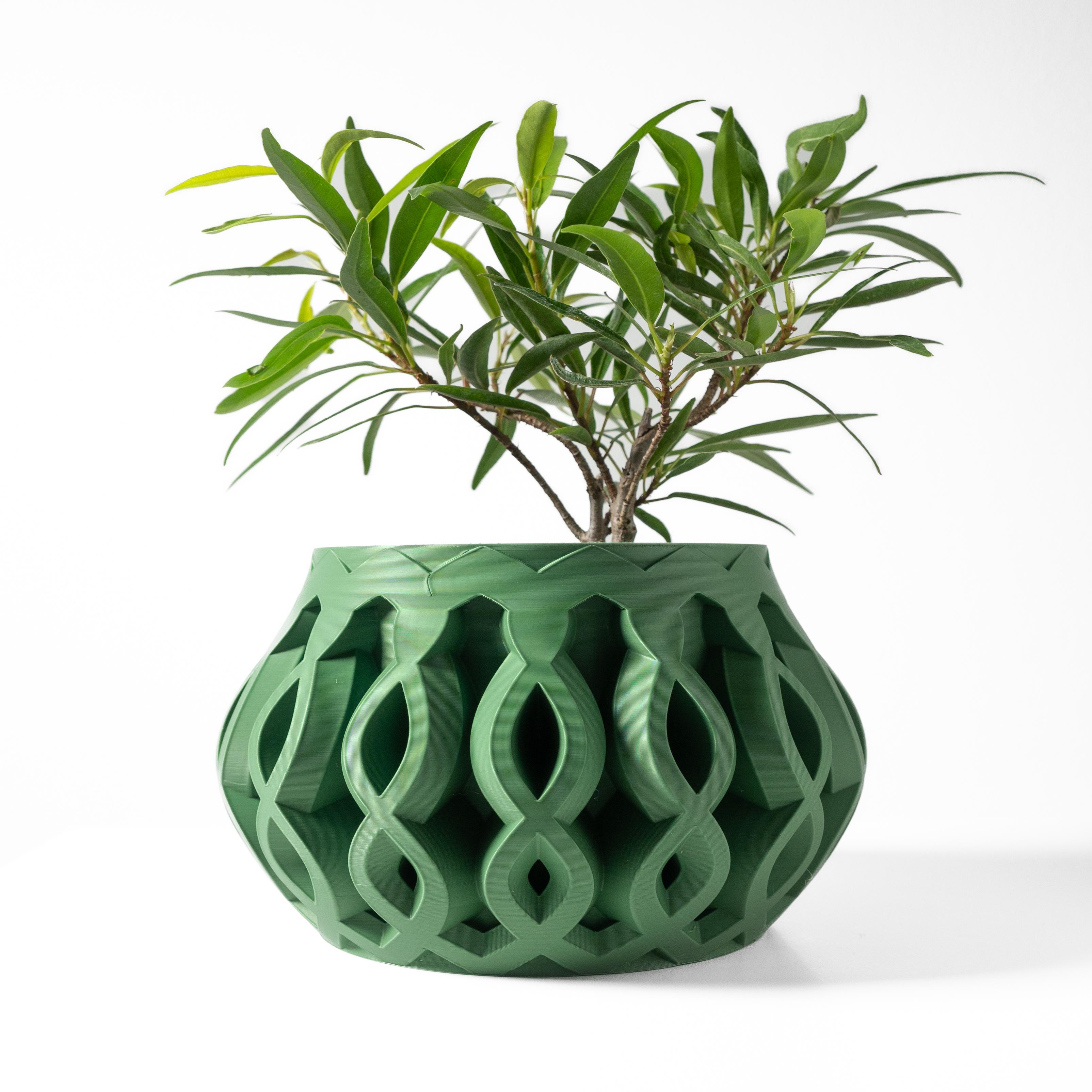 The Cylas Planter Pot with Drainage Tray & Stand: Modern and Unique Home Decor for Plants 3d model