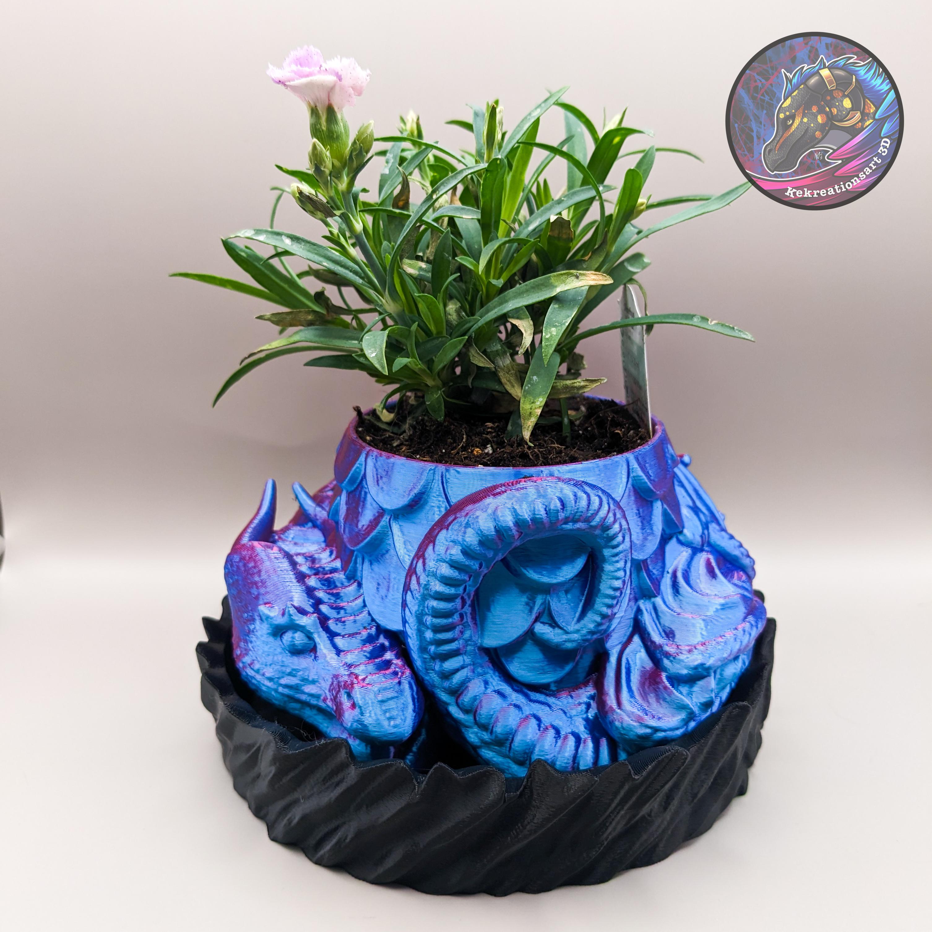 Dragon Planter + Box 3d model