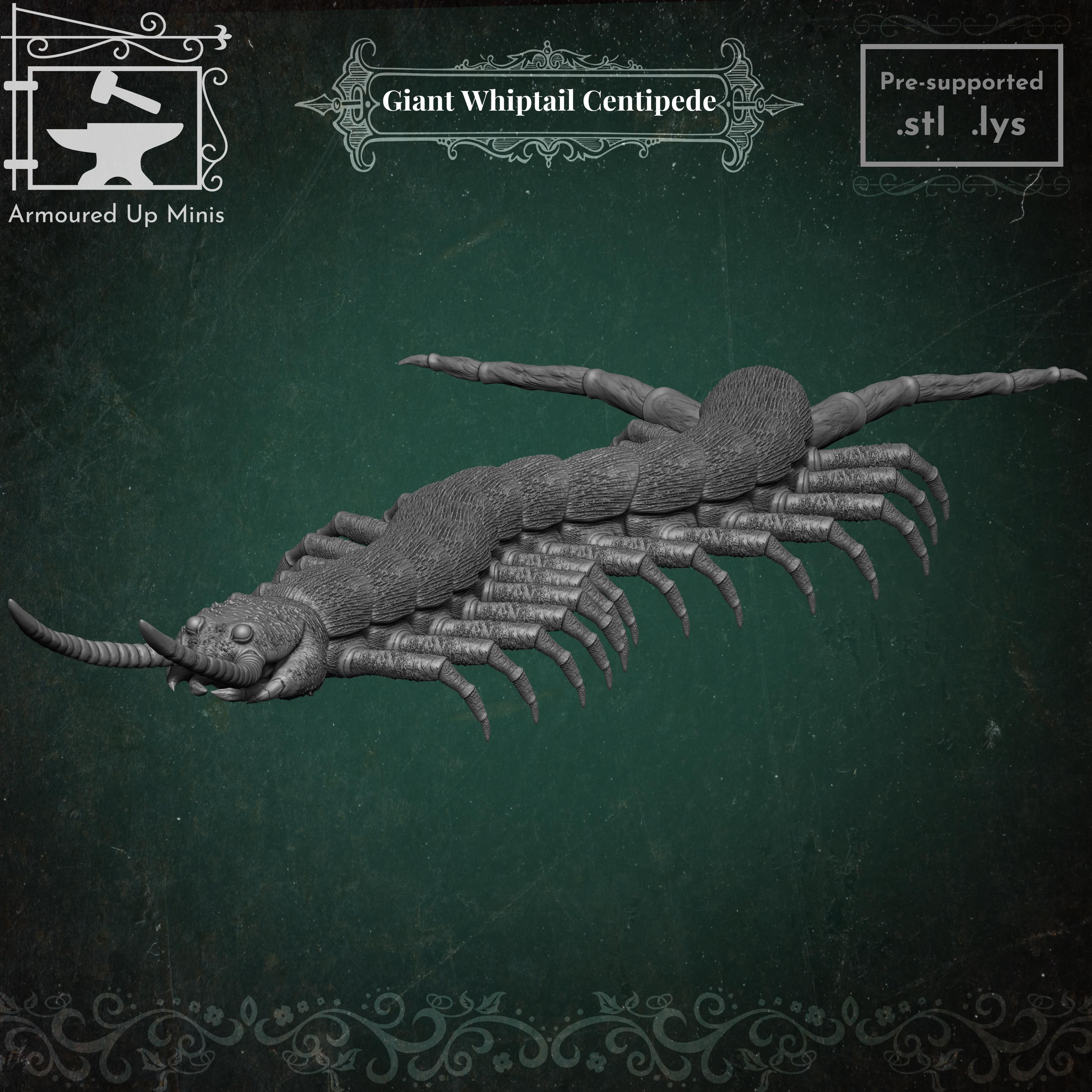 Giant Whiptail Centipede 3d model