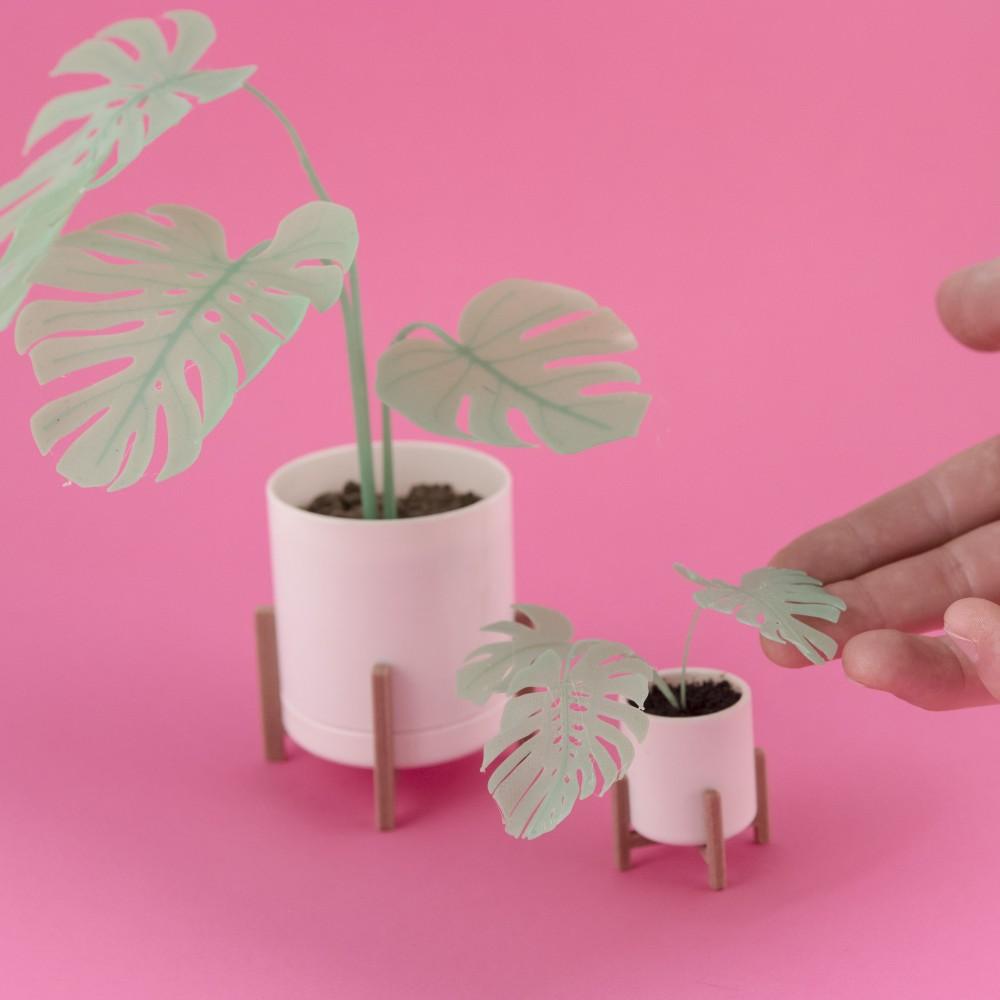 Mini Monstera & Planter 3d model