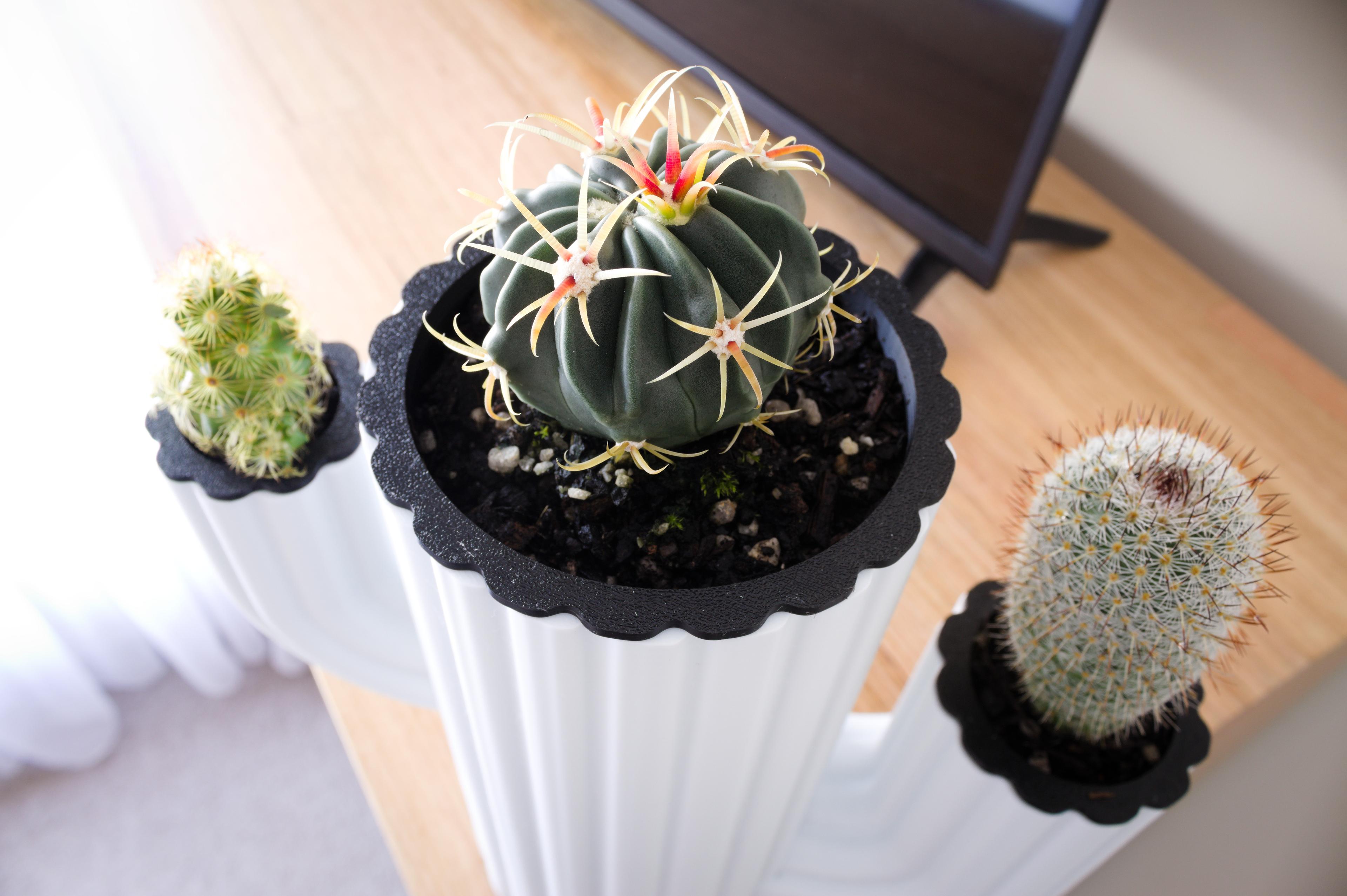 Cactus Planter – Cactus Inception 3d model