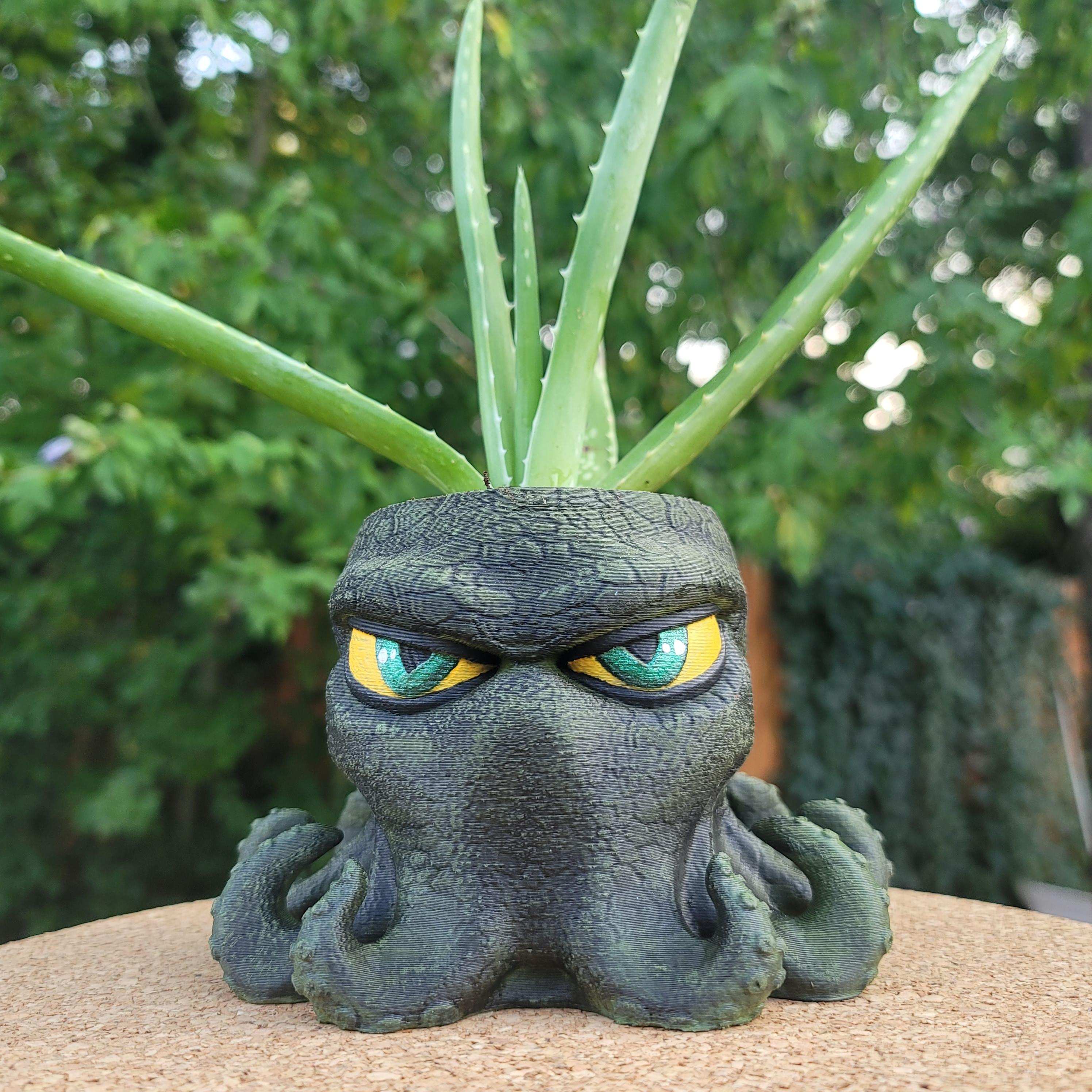 His and Hers Cthulhu planters 3d model