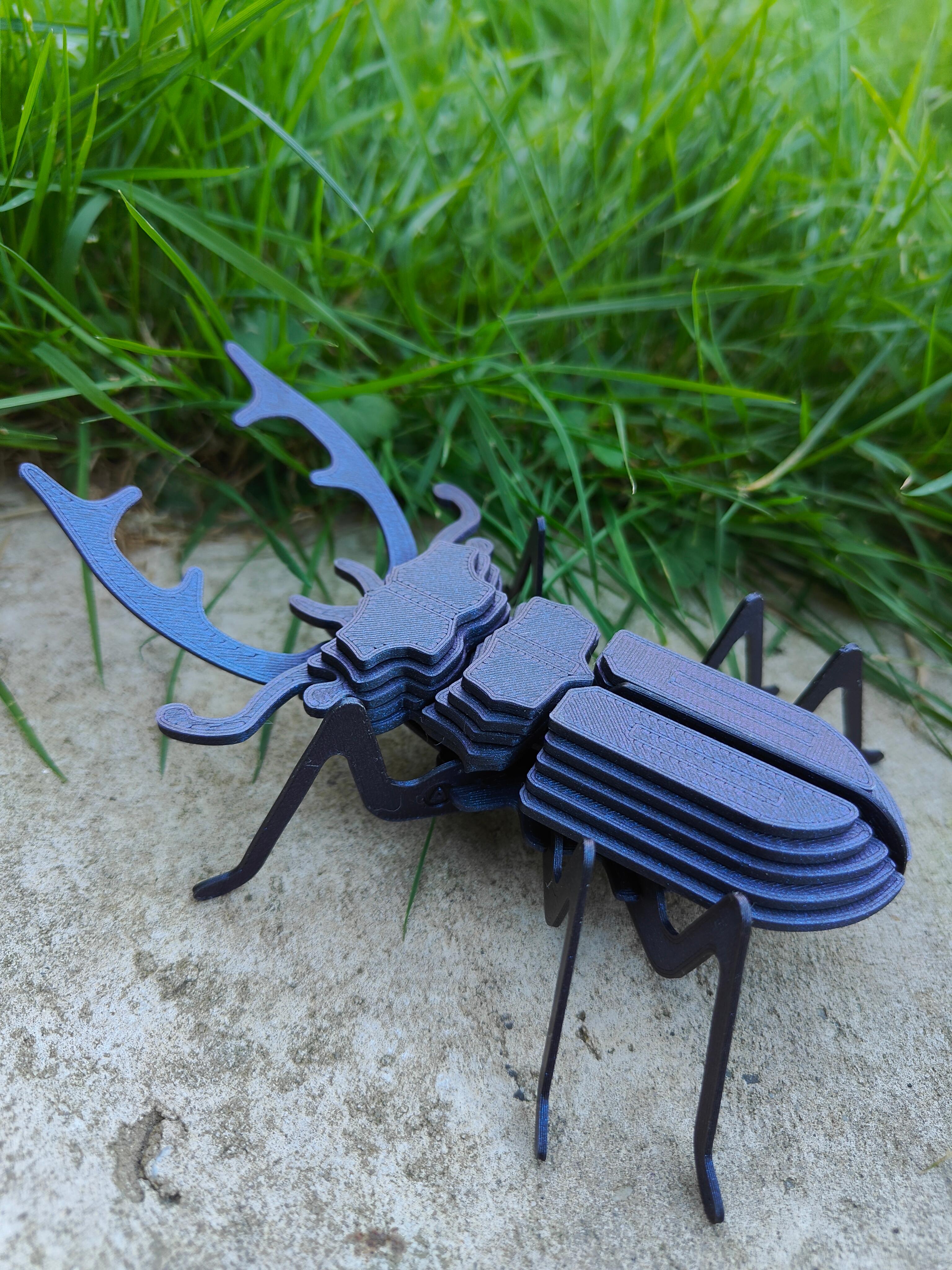 Stag Beetle Buildable Animal Figure 3d model