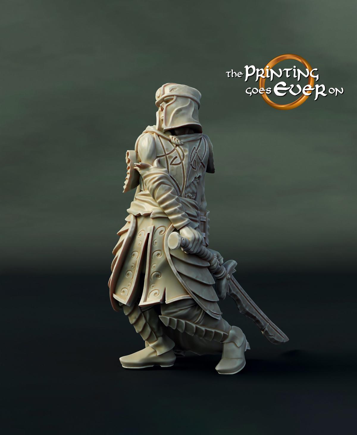 Elven Revenant C 3d model