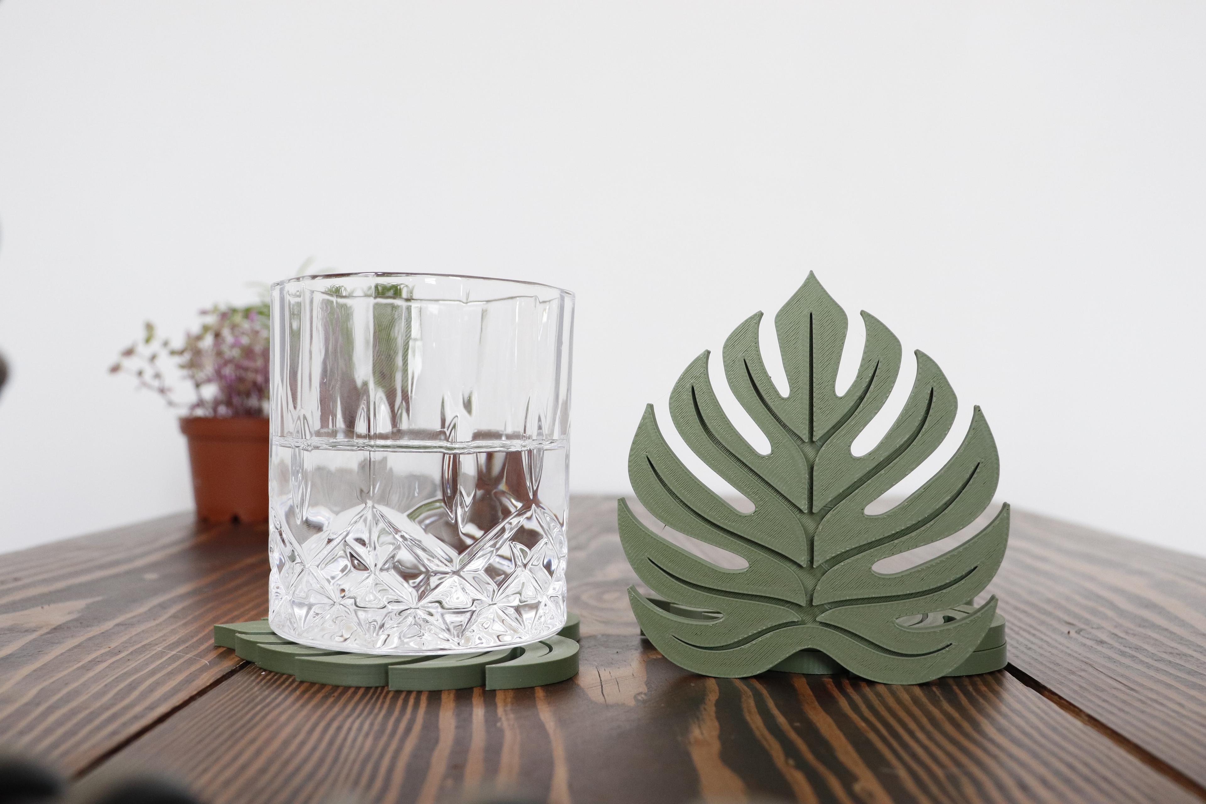 Monstera Leaf Coaster 3d model