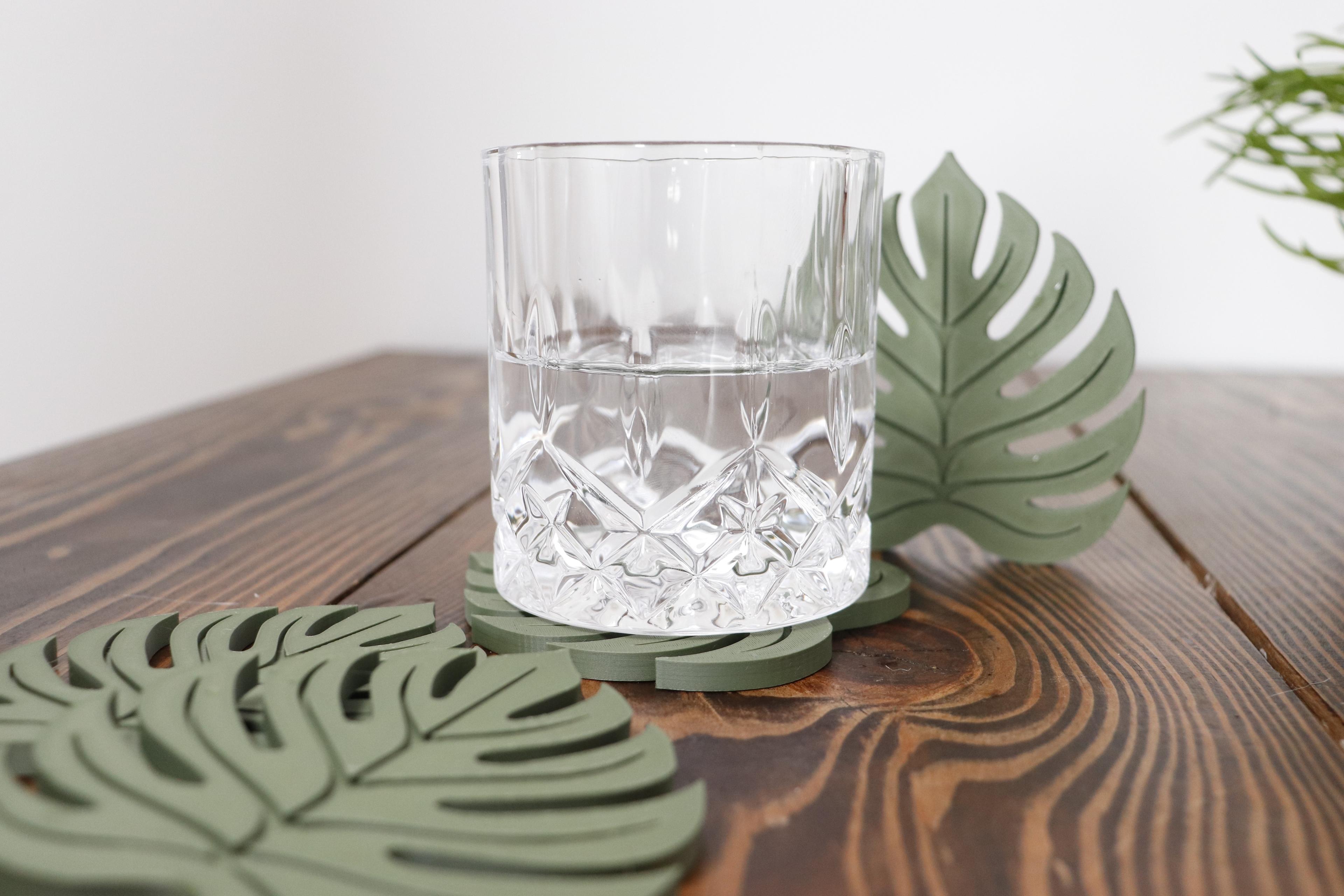 Monstera Leaf Coaster 3d model