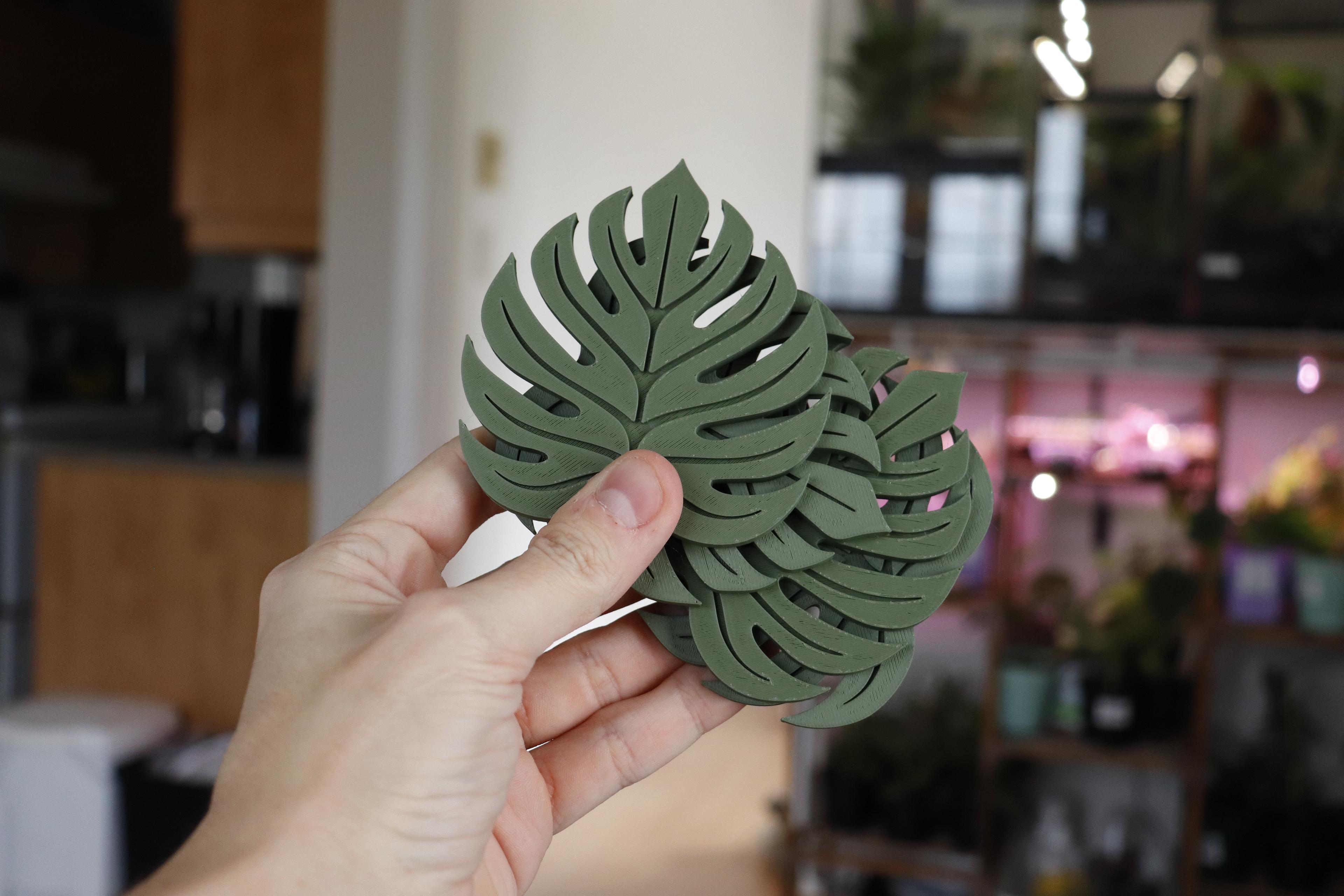 Monstera Leaf Coaster 3d model